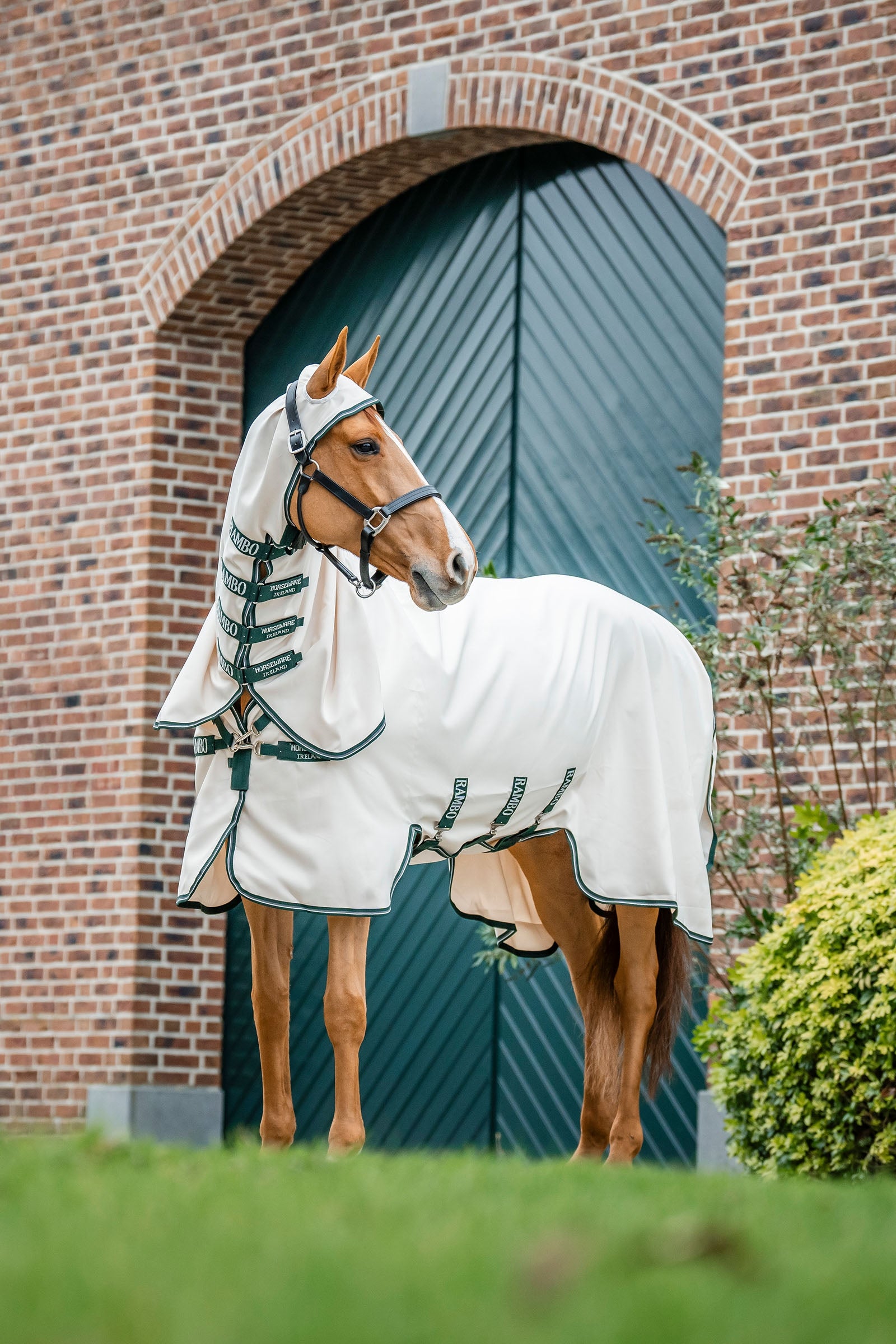 Horseware Sweat à capuche Rambo Couvertures cheval