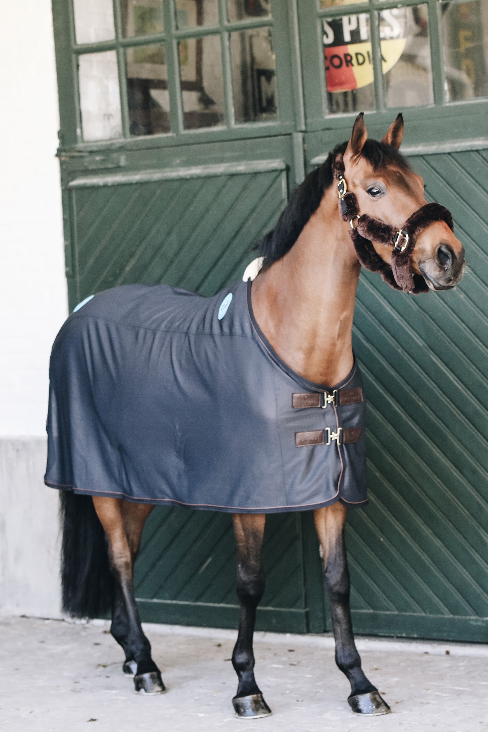 Kentucky Horsewear Couverture magnétique Recuptex Couvertures cheval