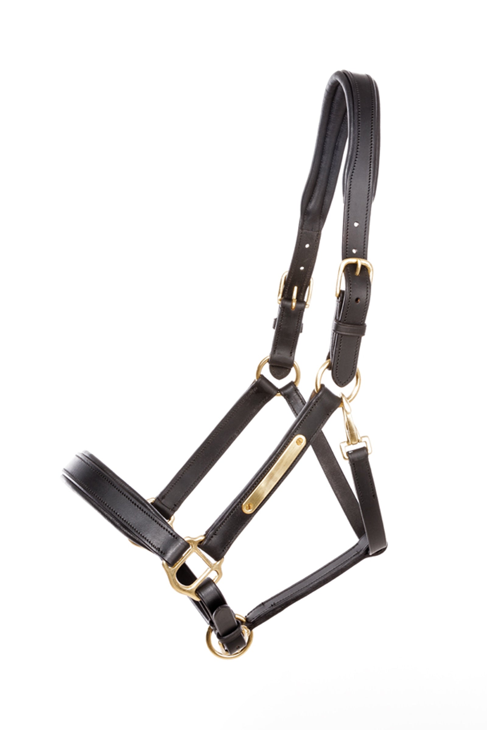 Kavalkade licol en cuir Cinta Licols & longes