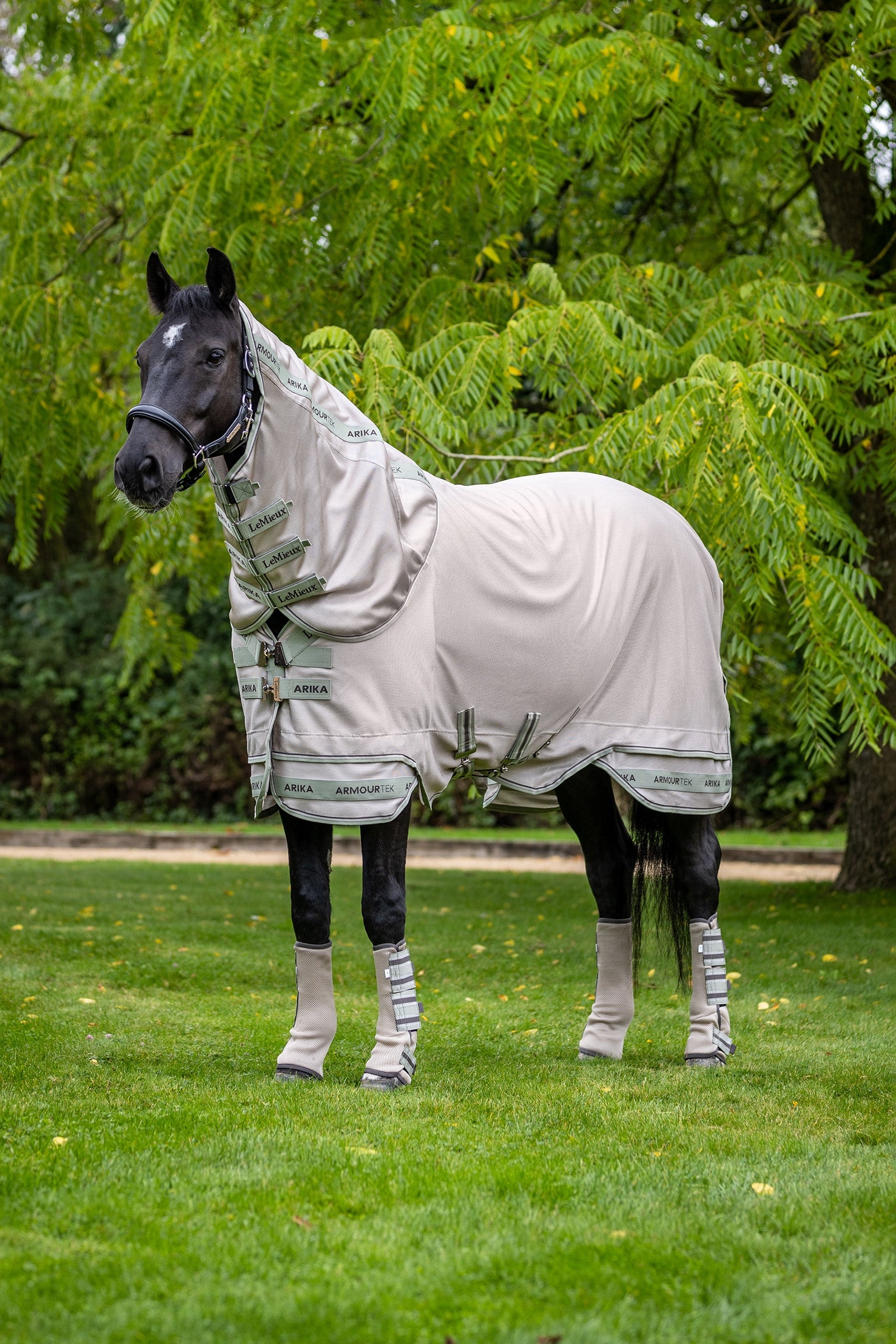 LeMieux Arika Armour-Tek Couverture Anti-Mouches avec encolure amovible Couvertures cheval