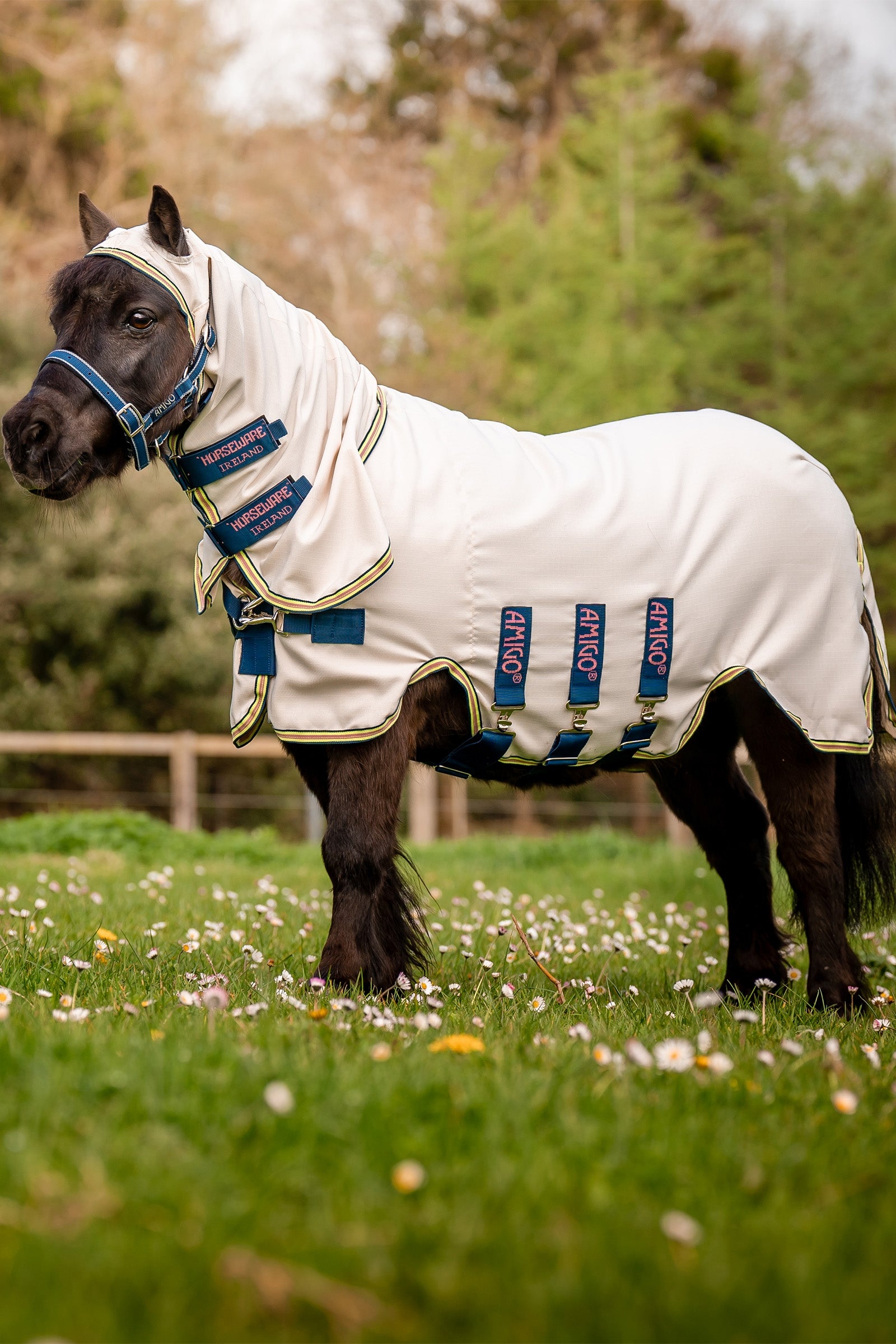 Horseware Amigo Ripstop Hoody, Petite Couvertures cheval
