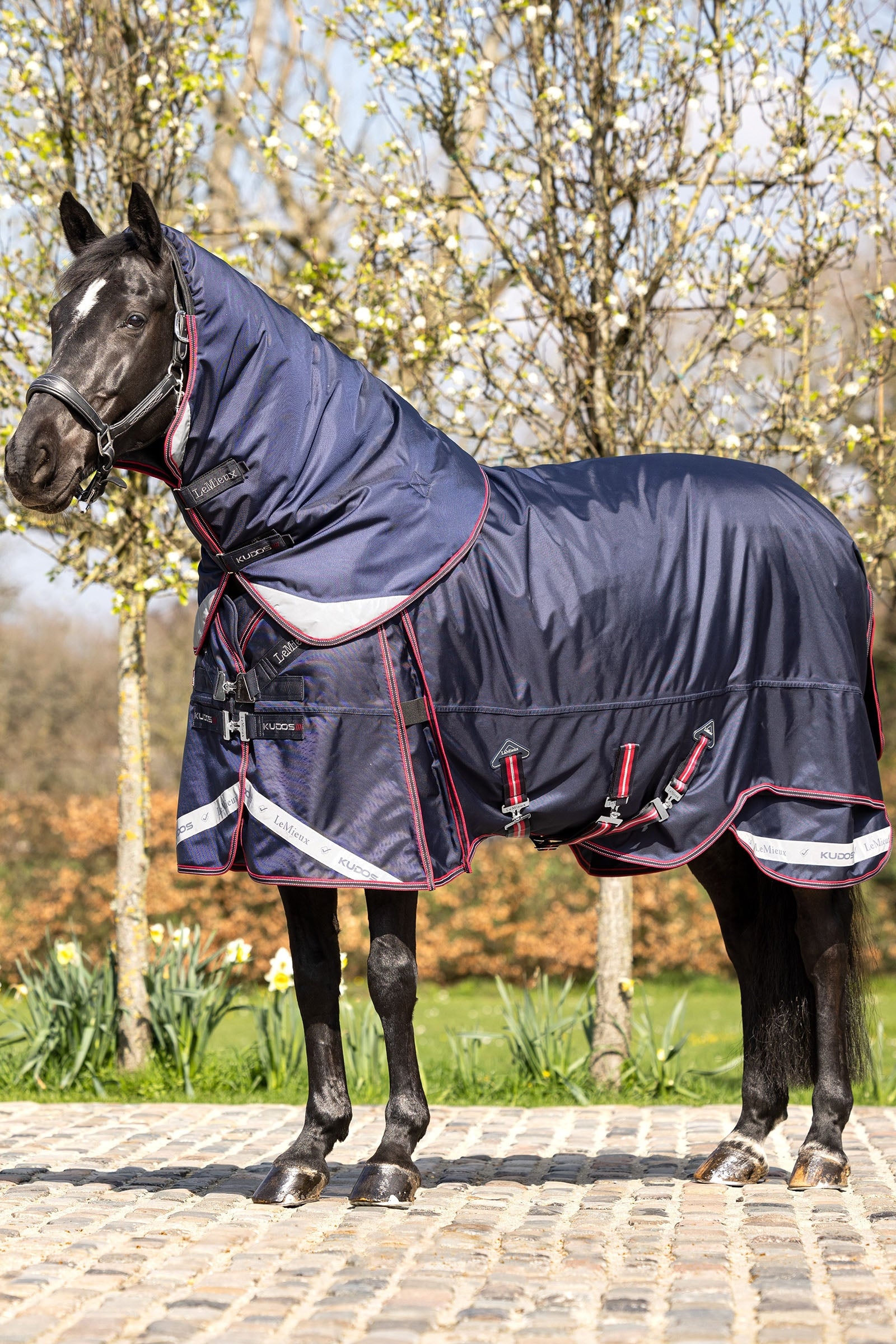 LeMieux Kudos Thermo Layer couverture imperméable 100g Couvertures cheval