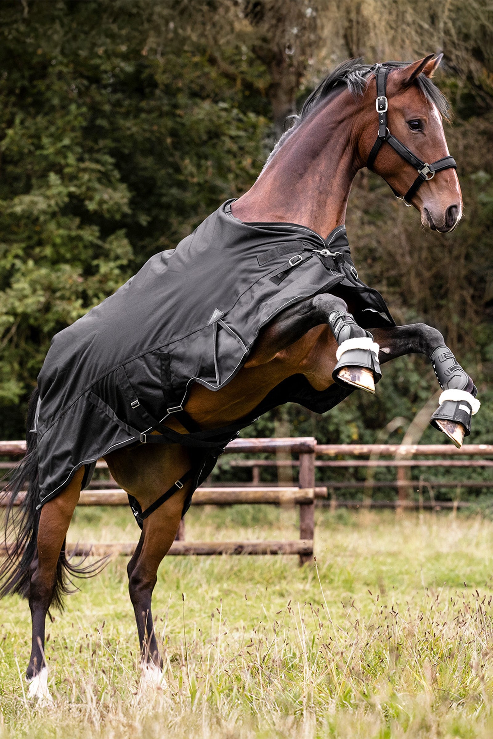 Waldhausen Outdoor Rug Scandic Multi-Layer 150g/50g Horse Rugs