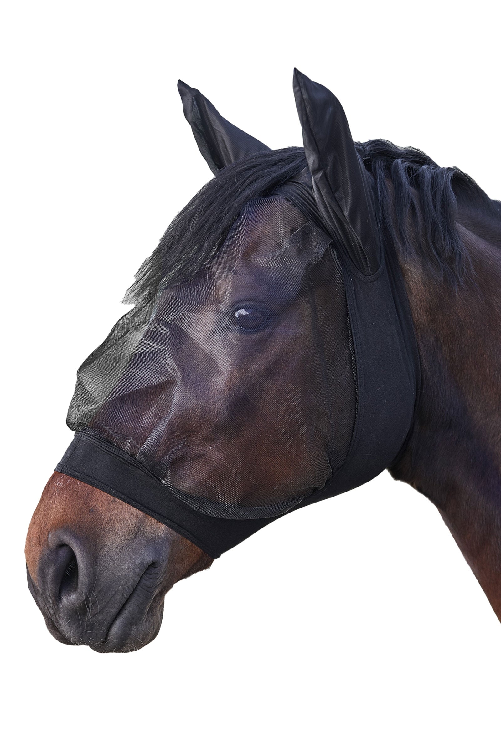Waldhausen Skinny masque anti-mouches Anti-mouches cheval