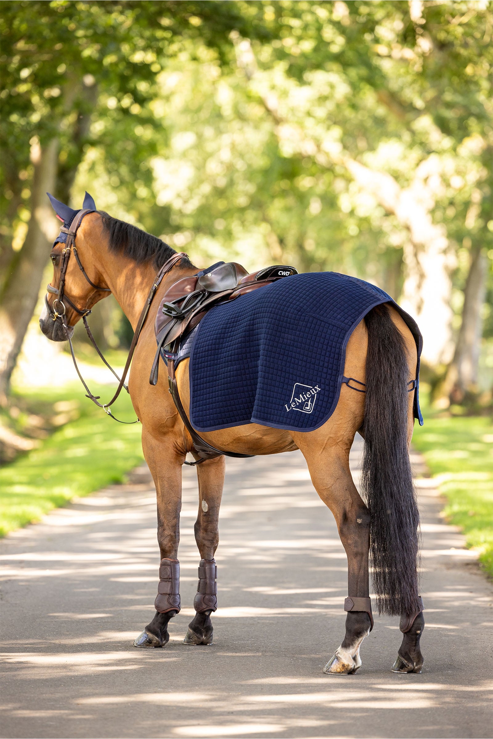 LeMieux Clima Tek couvre-reins Couvertures cheval