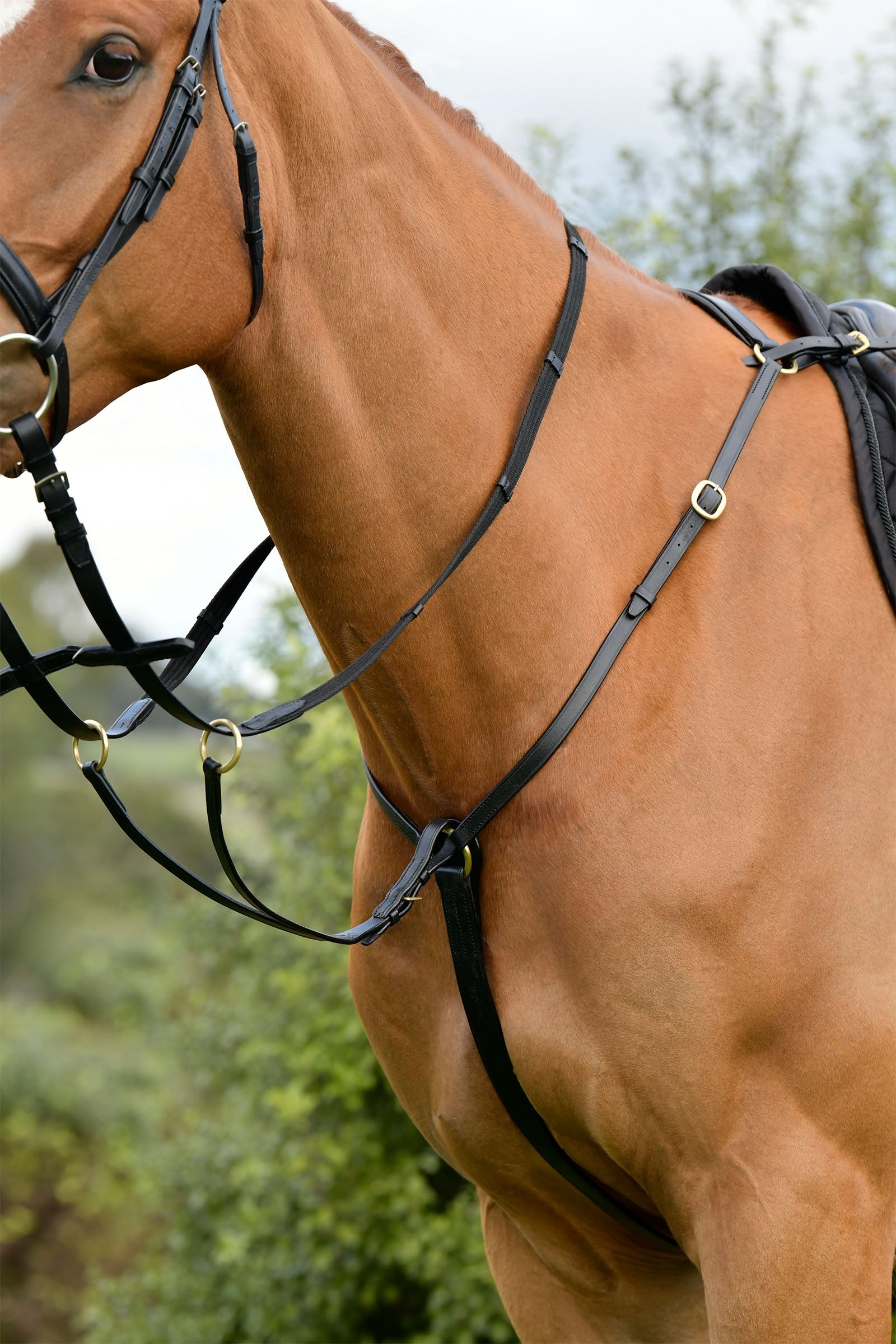 Kincade Classic 3 Point Breastplate With Running Martingale Bridles & Reins