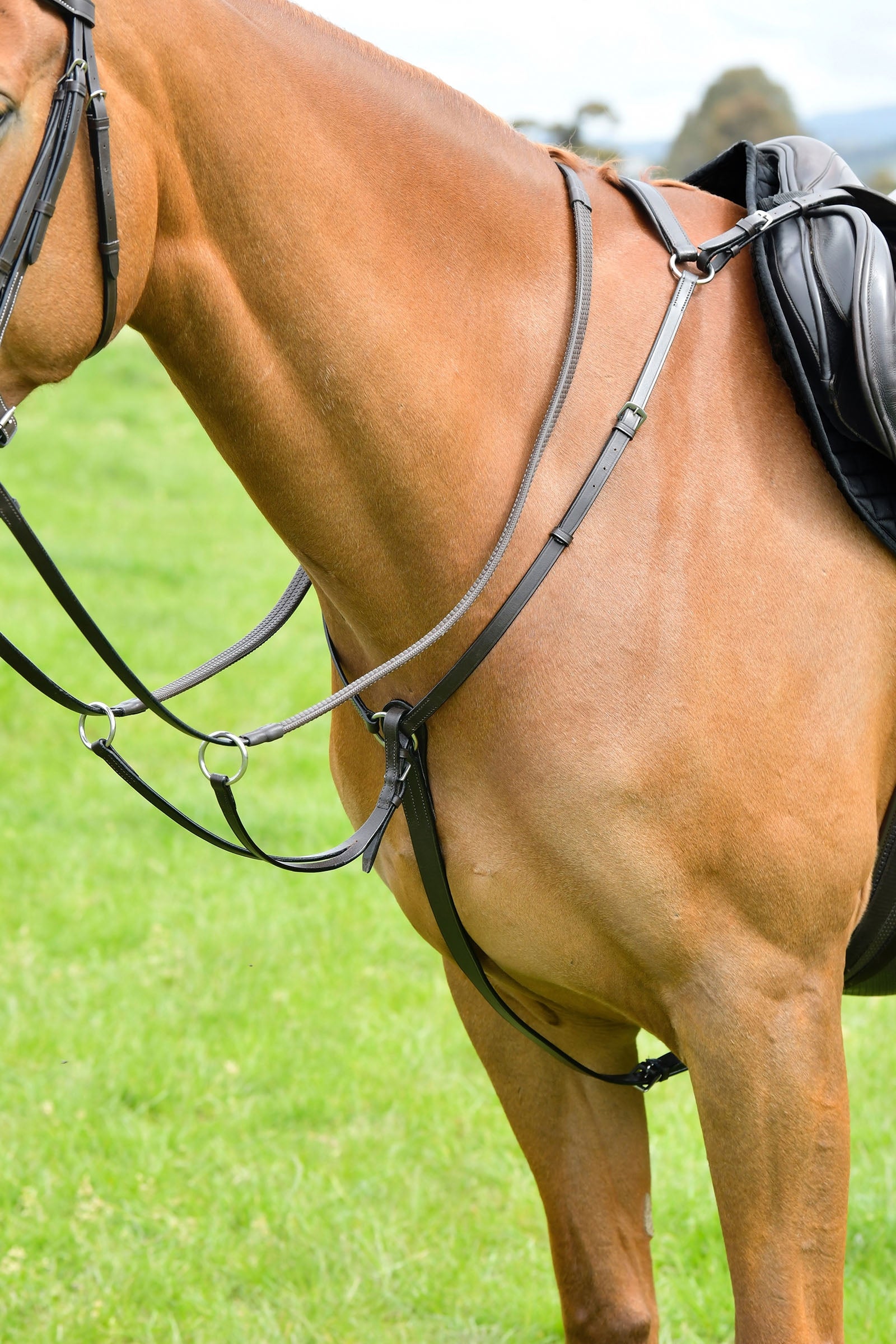 Kincade Classic collier de chasse 3 points avec martingale à anneaux coulissants Briderie et enrênements