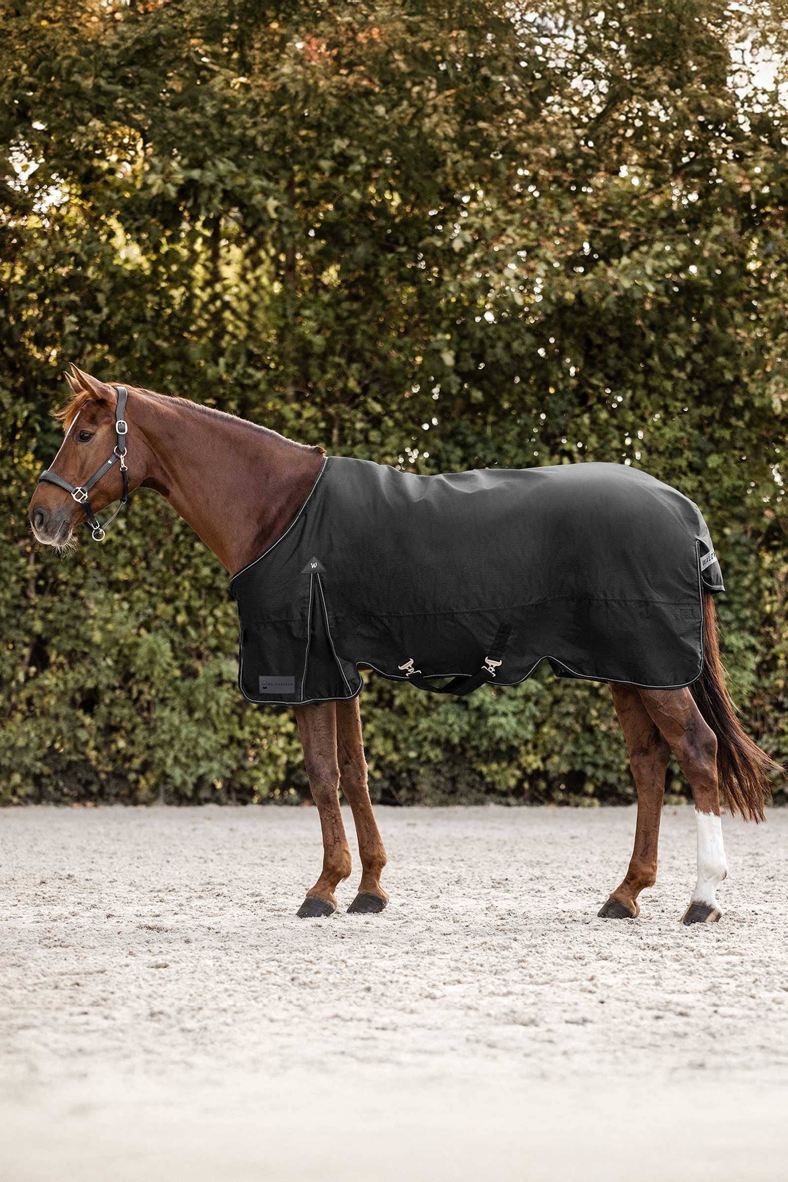 Waldhausen Arctic Couverture d'extérieur, 50g Couvertures cheval