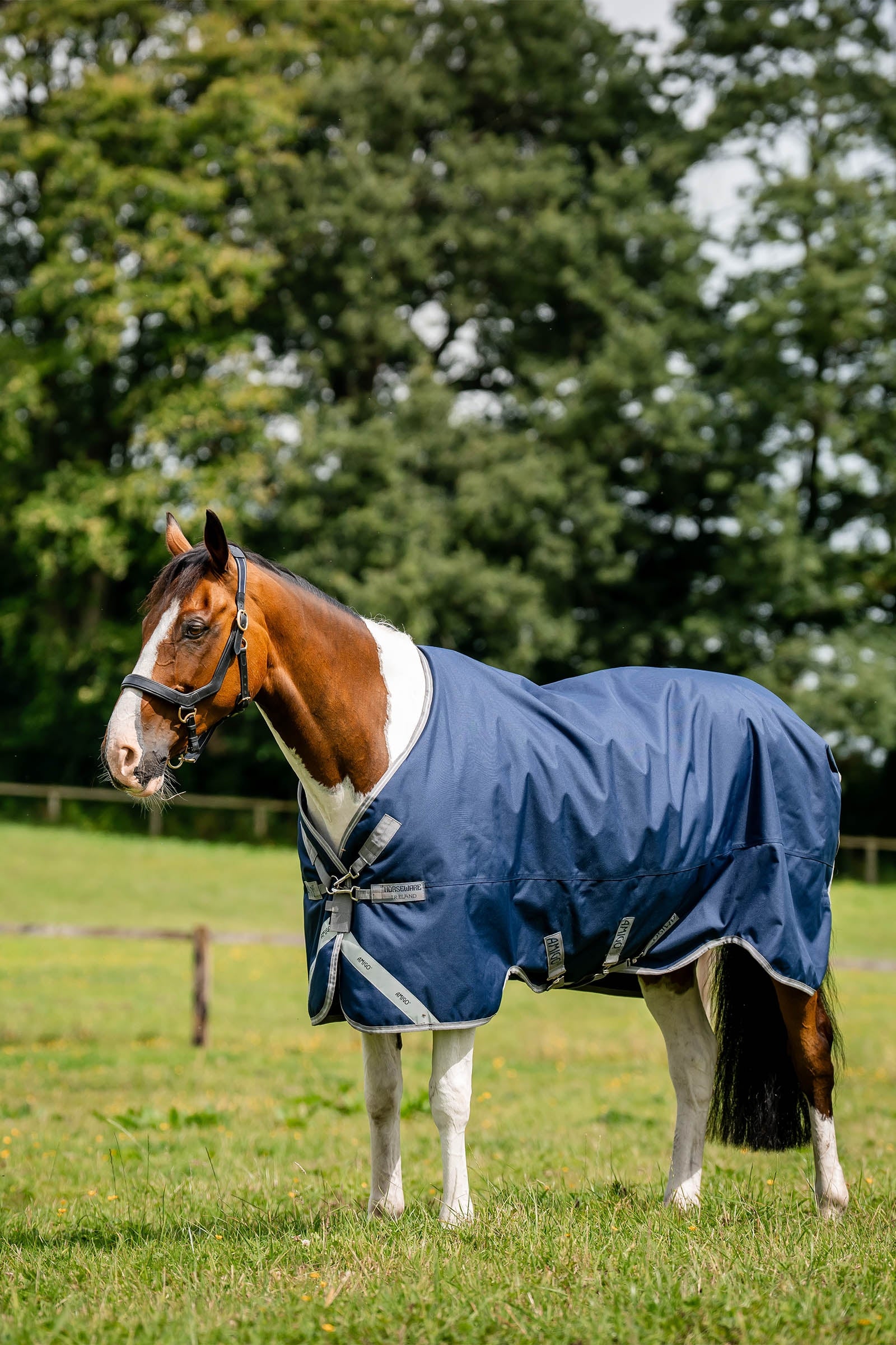 Horseware Amigo 1200D couverture d’extérieur, 50 g Couvertures cheval