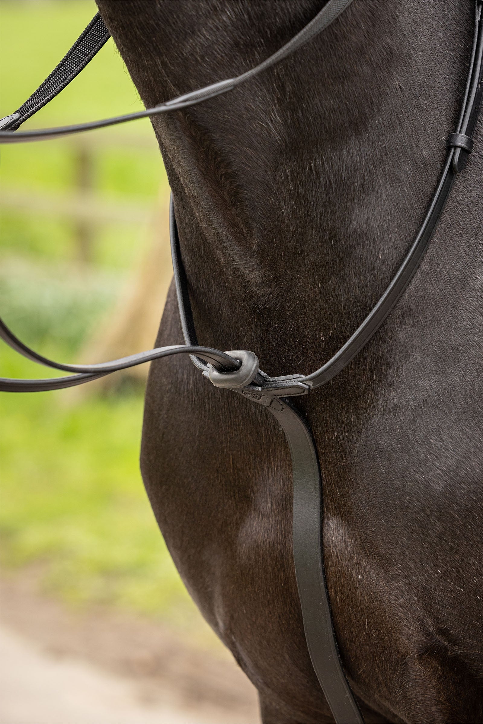 LeMieux Arika Running Martingale Bridles & Reins