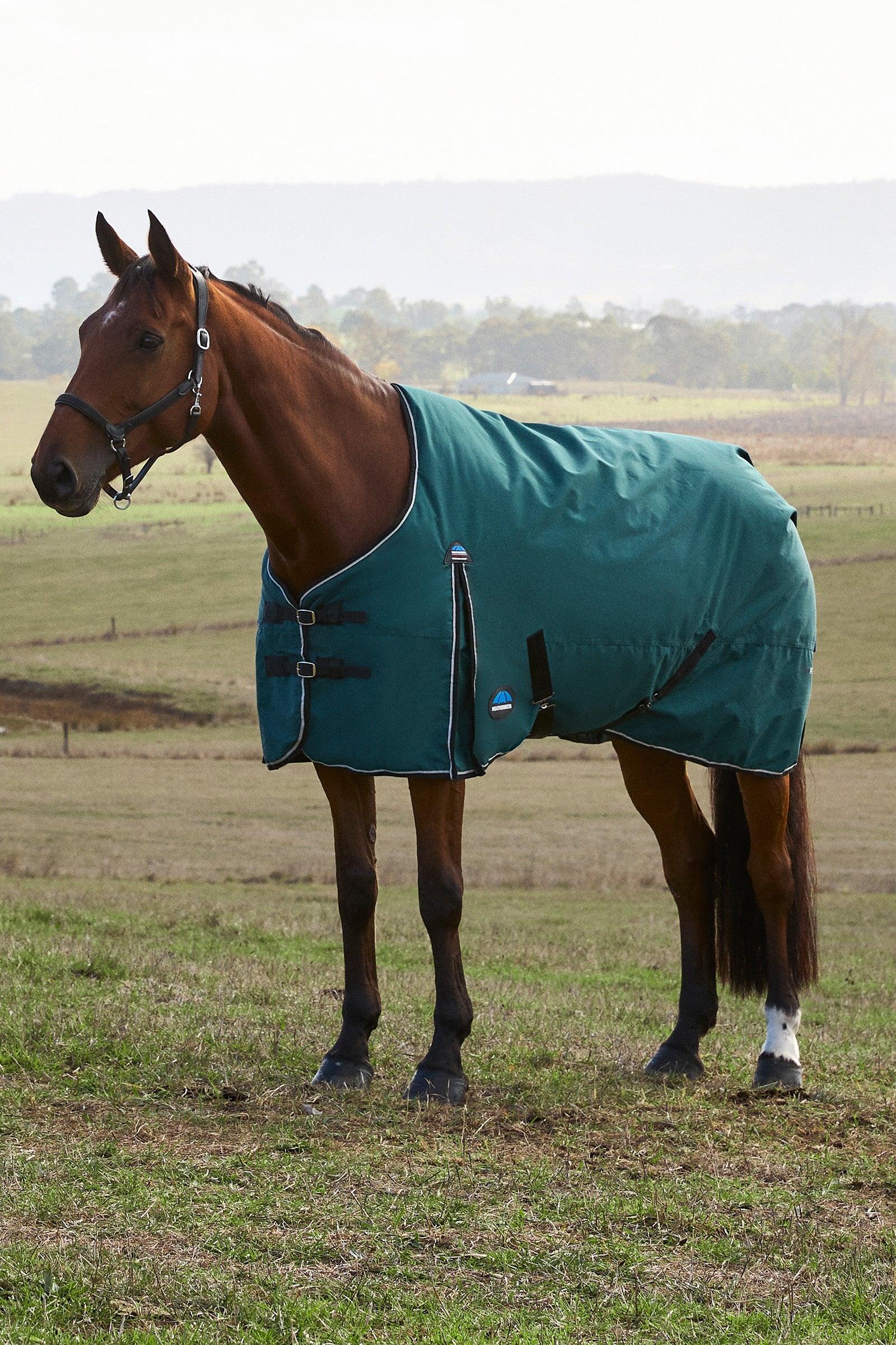 Weatherbeeta ComFiTec Classic Turnout Standard Neck 220G Couvertures cheval