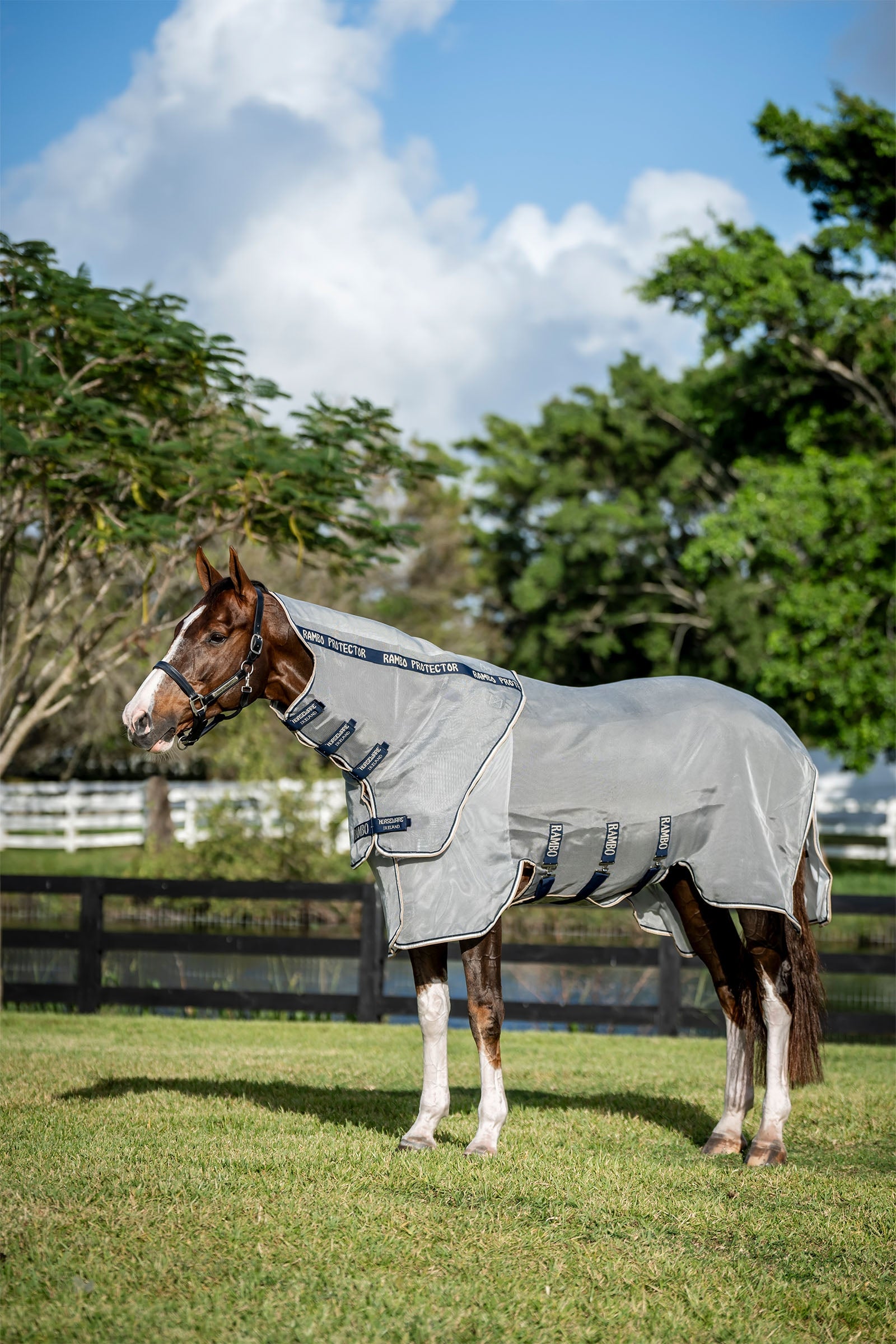 Horseware Rambo Protector Fieldsafe Plus Couvertures cheval
