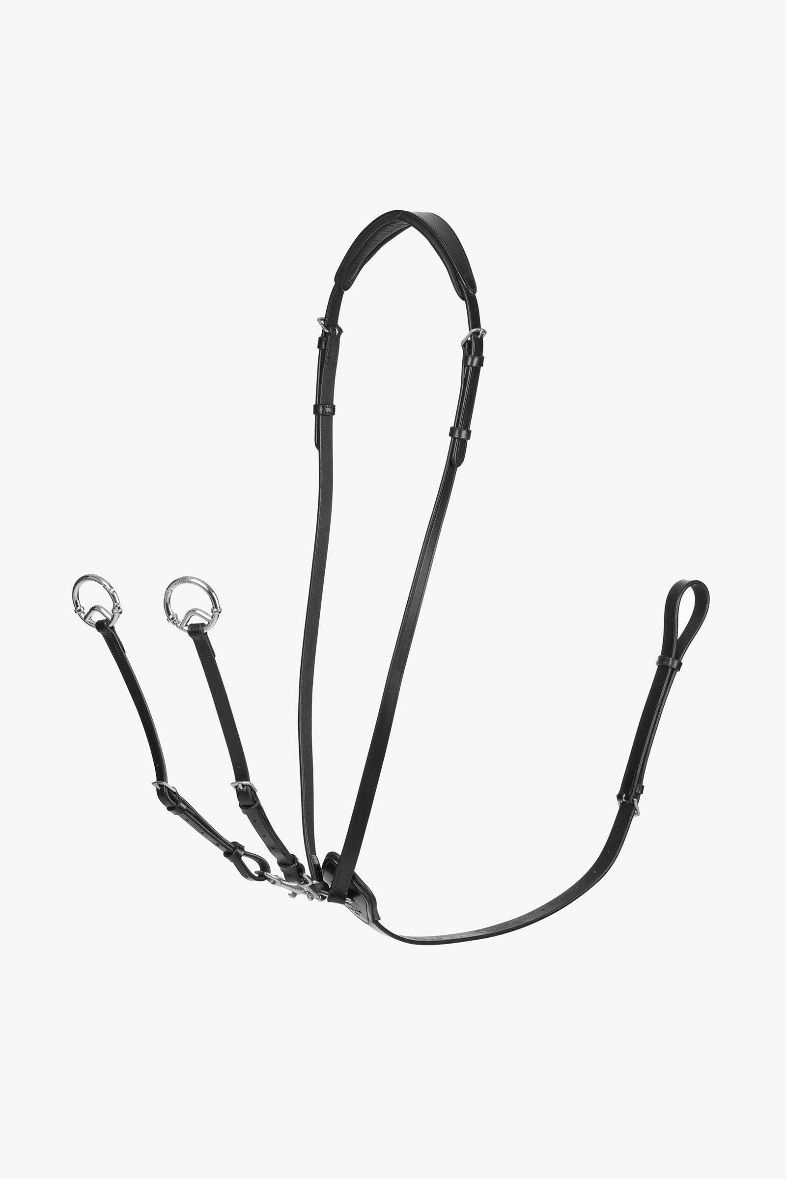 LeMieux Martingale Kudos Running Briderie et enrênements