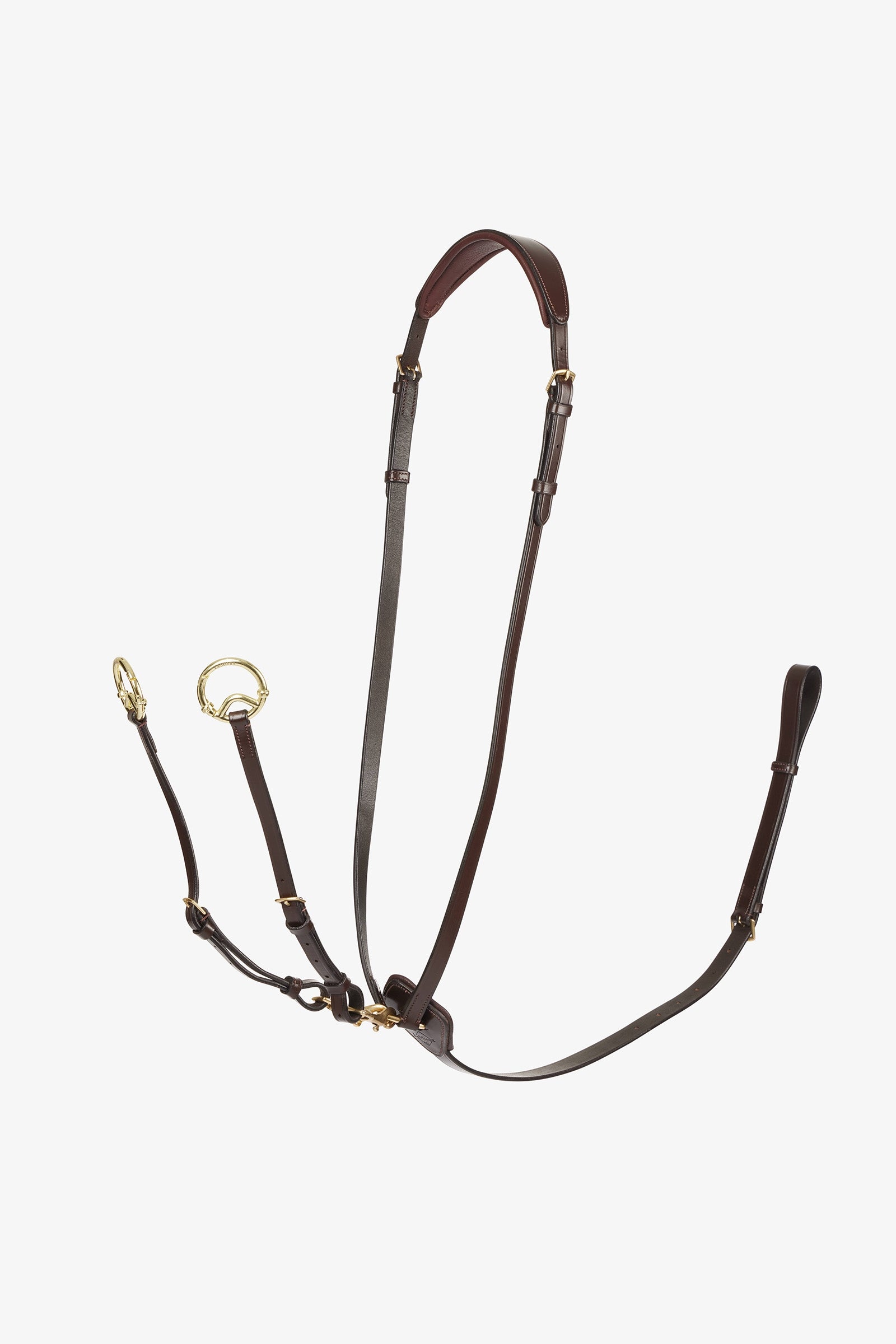 LeMieux Martingale Kudos Running Briderie et enrênements
