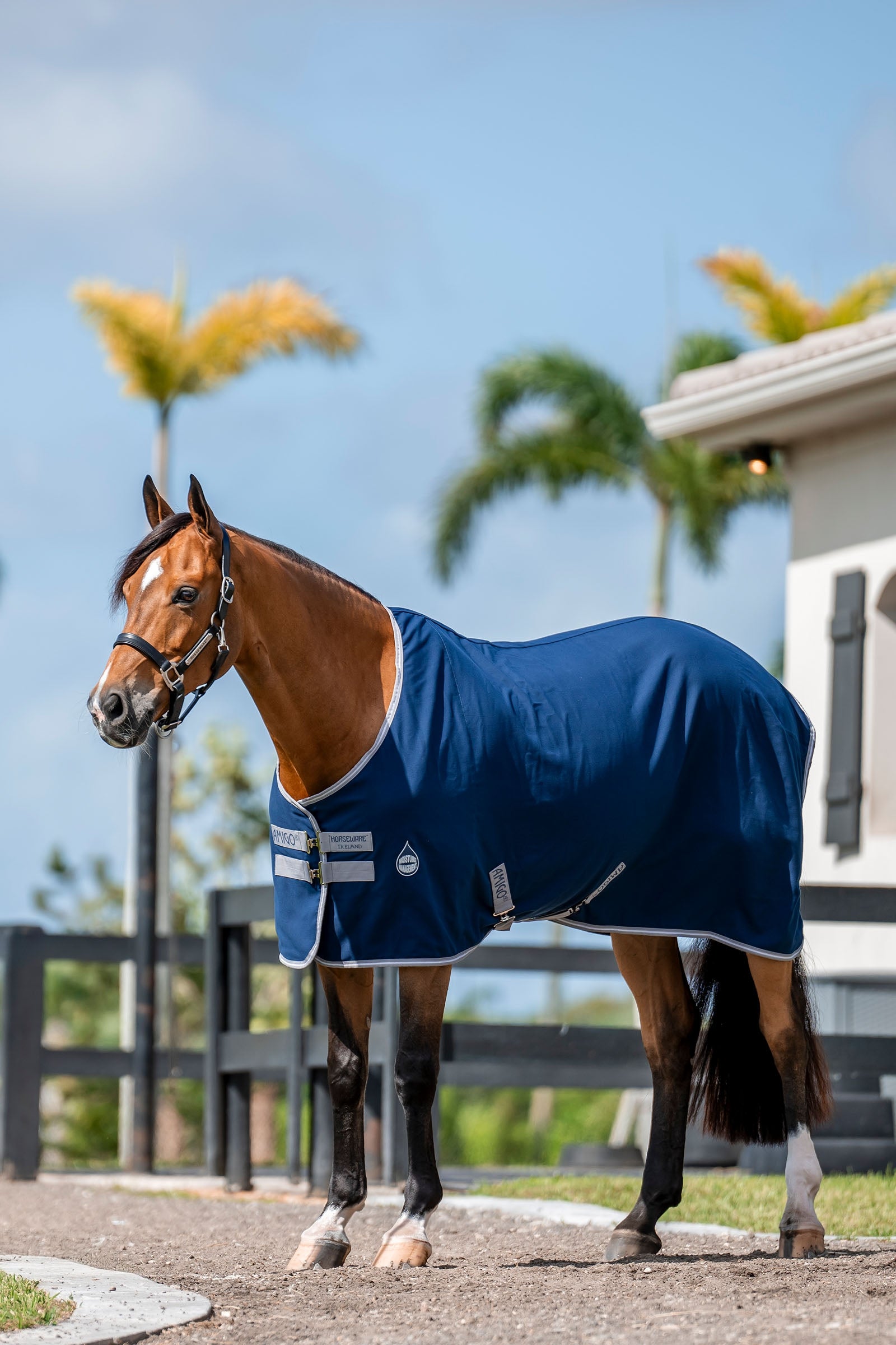 Horseware Amigo Couverture écurie, 0g Couvertures cheval