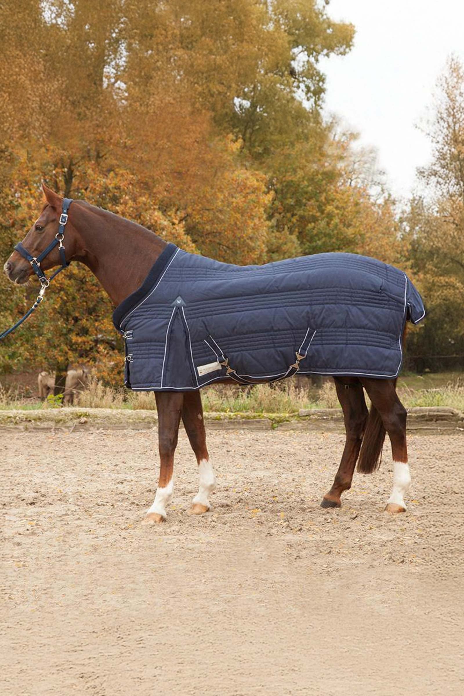 Waldhausen Stable Rug comfort Line 300g Couvertures cheval