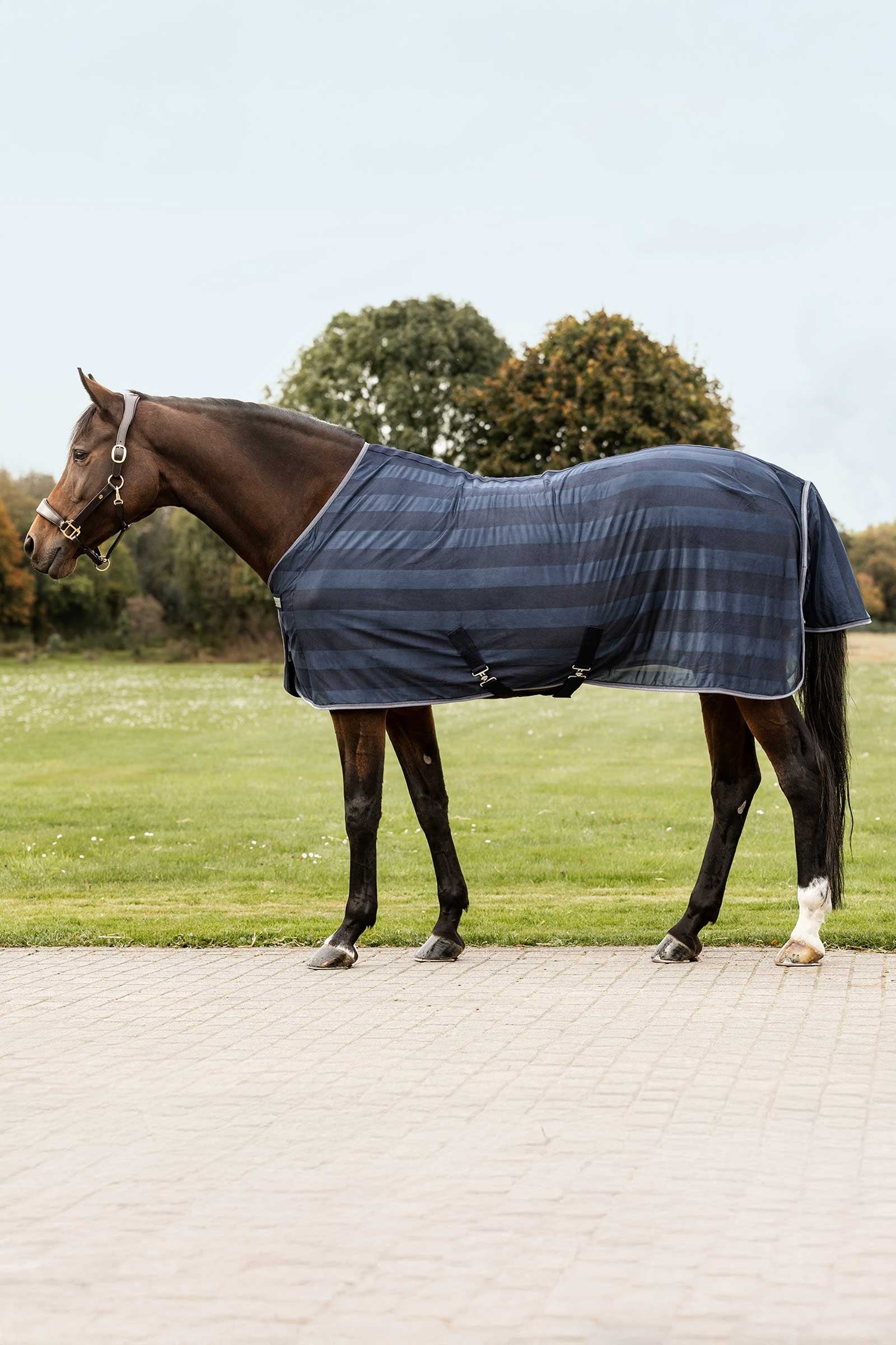 Waldhausen Economic couverture anti-mouches Couvertures cheval