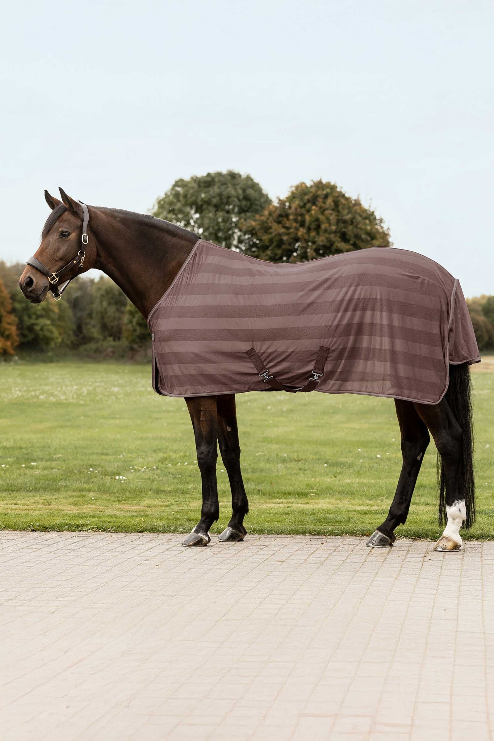 Waldhausen Economic couverture anti-mouches Couvertures cheval