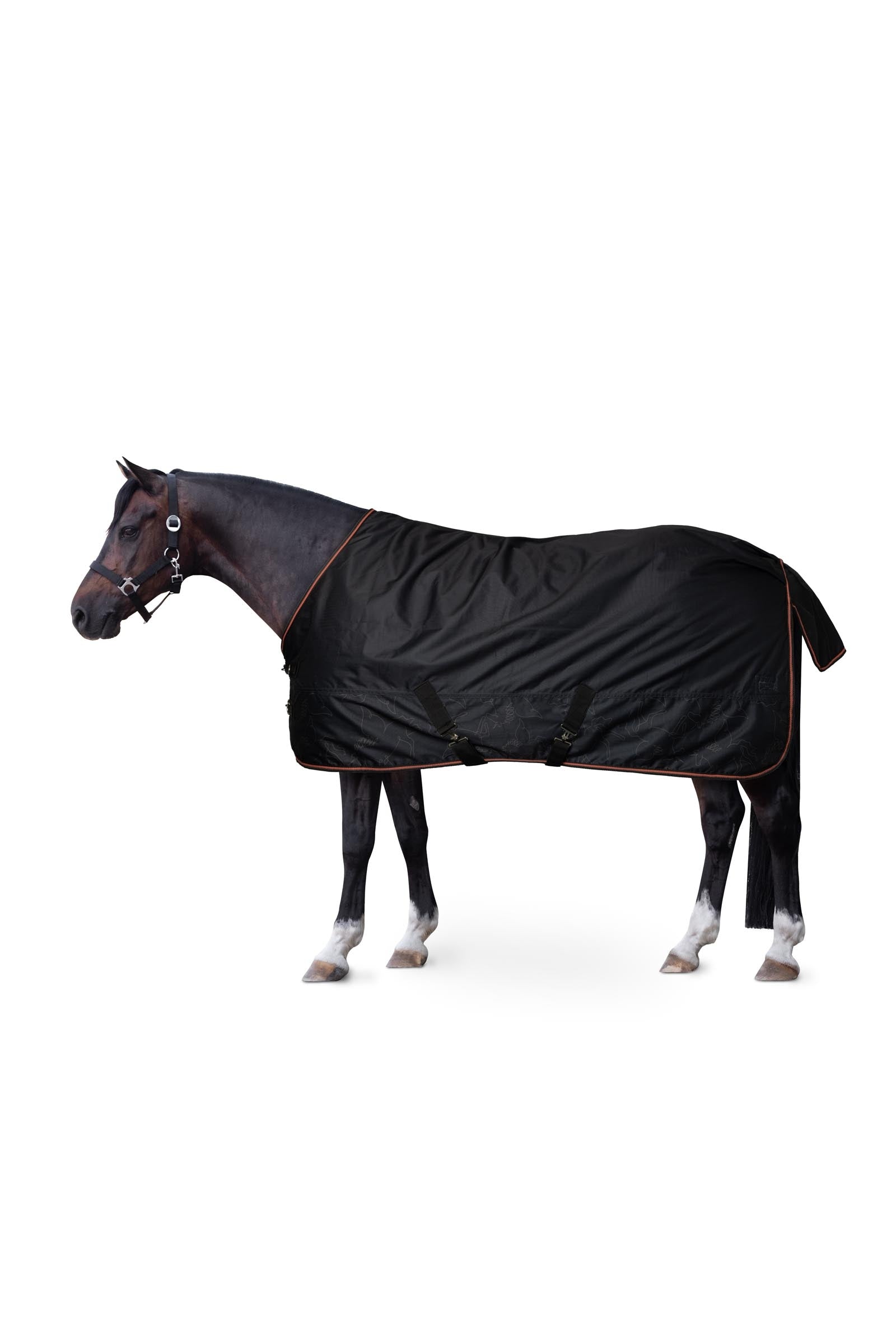 Horze Couverture imperméable pour poney Pegasus avec doublure en polaire Couvertures cheval