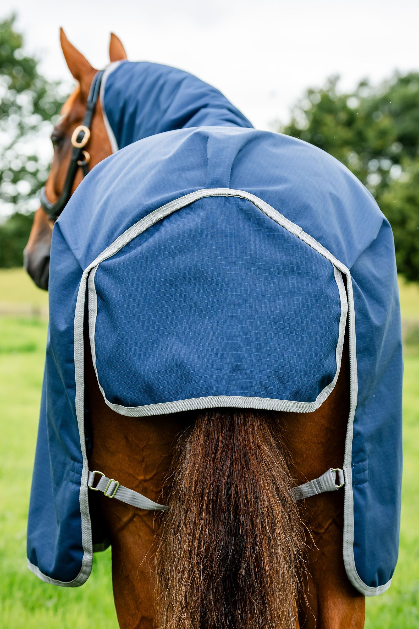 Horseware Amigo Ripstop Turnout Rug 900D, 50g Horse Rugs