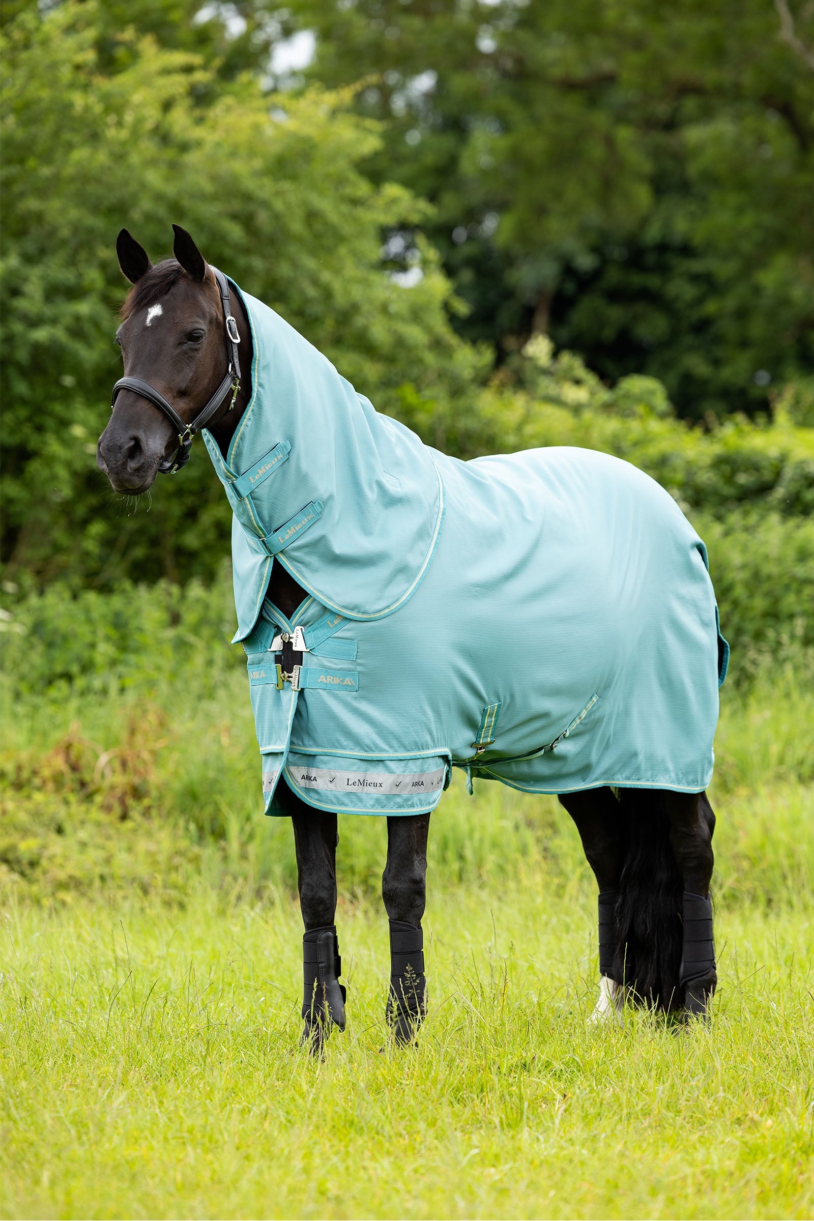 LeMieux Arika 600D couverture d'extérieur avec encolure amovible, 50 g Couvertures cheval