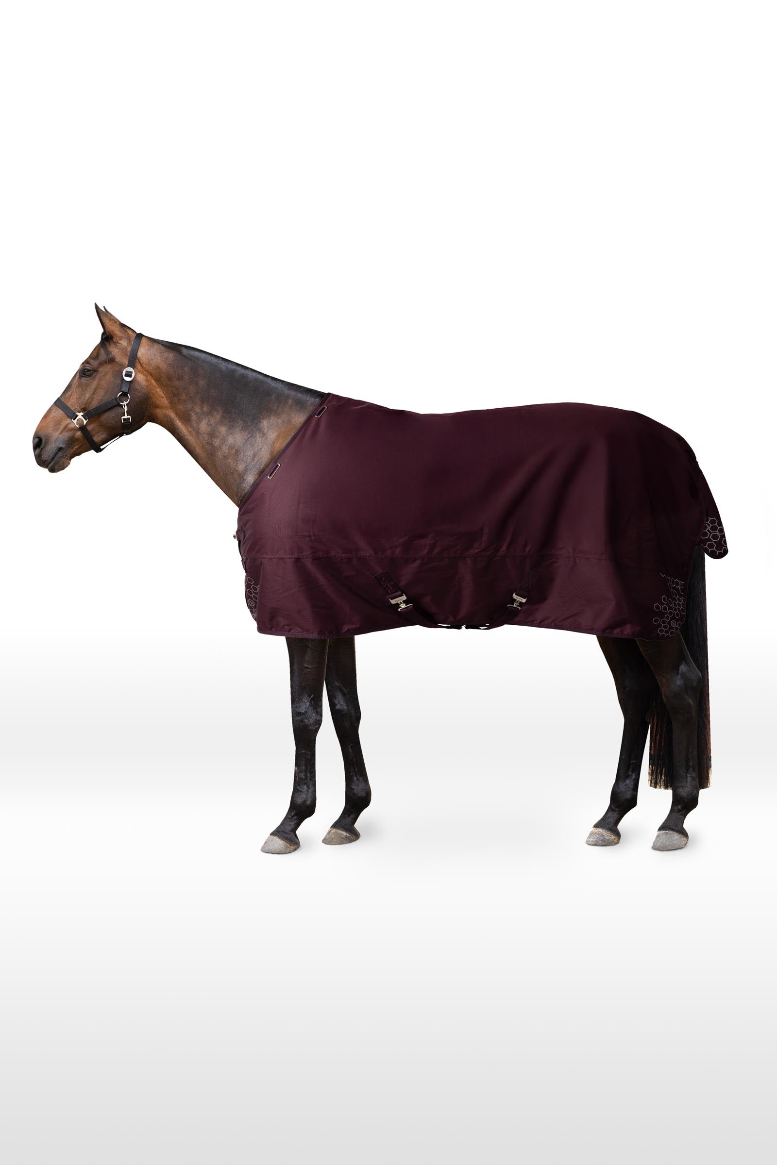Horze Newbridge couverture d'extérieur, 100g Couvertures cheval