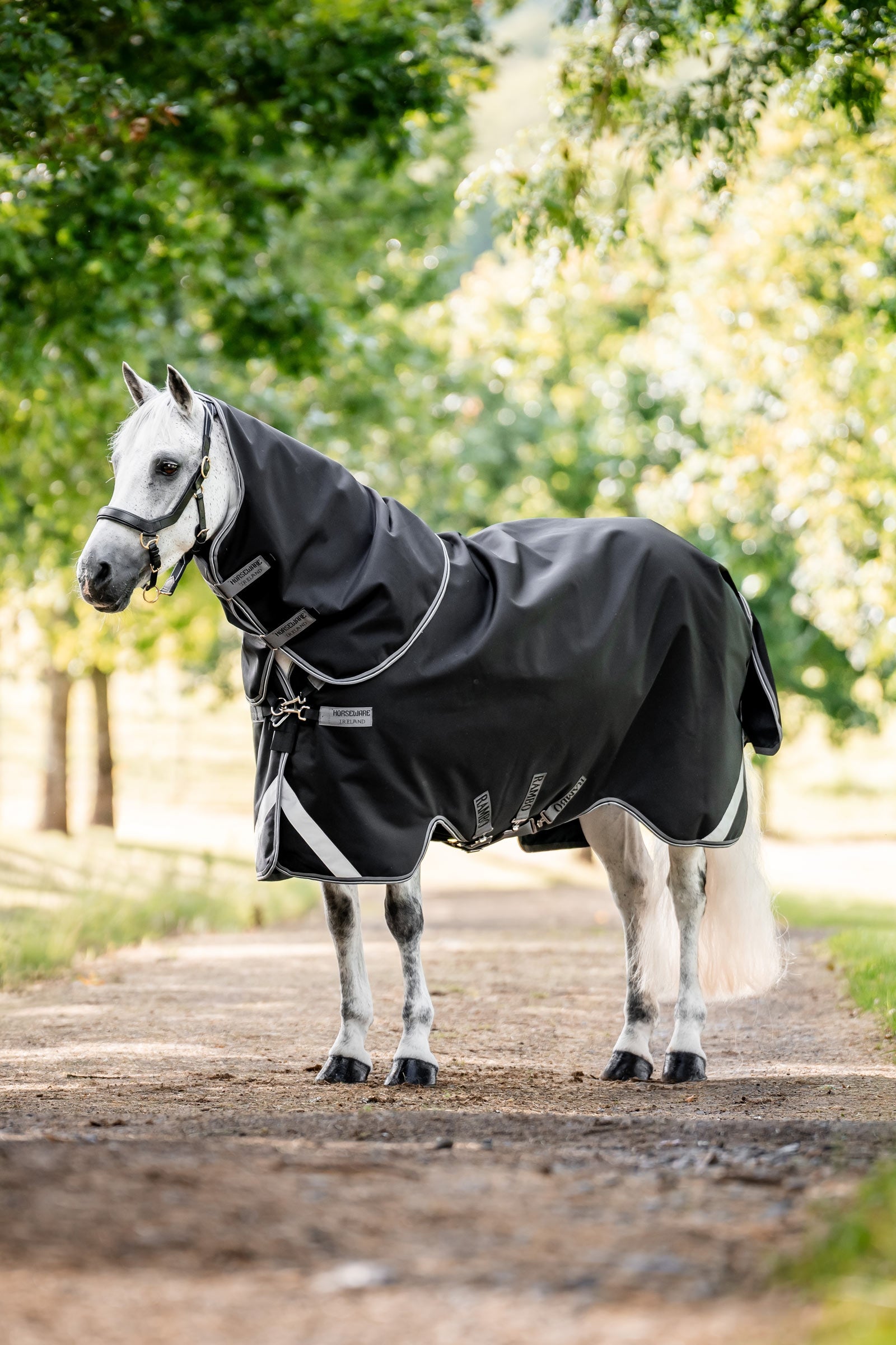 Horseware Rambo 1680D Plus couverture d’extérieur, 100 g Couvertures cheval