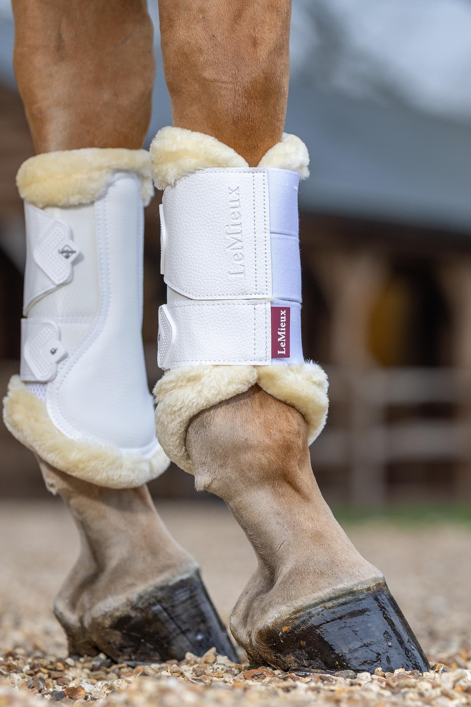 LeMieux Mesh Brushing Boots With Fleece Edging Leg Protection & Hoof Protection for Horses
