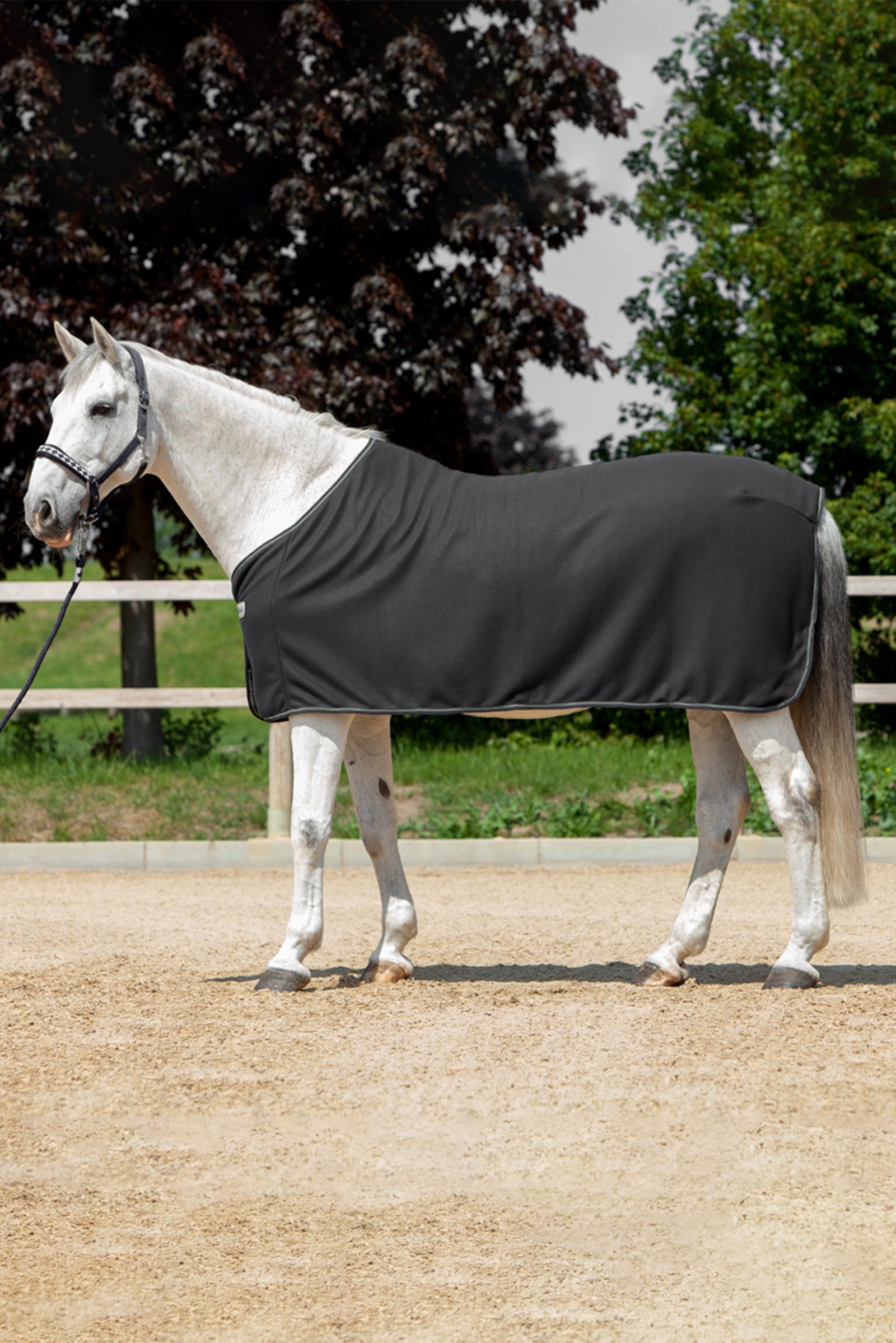 Kavalkade Chemise séchante Couvertures cheval