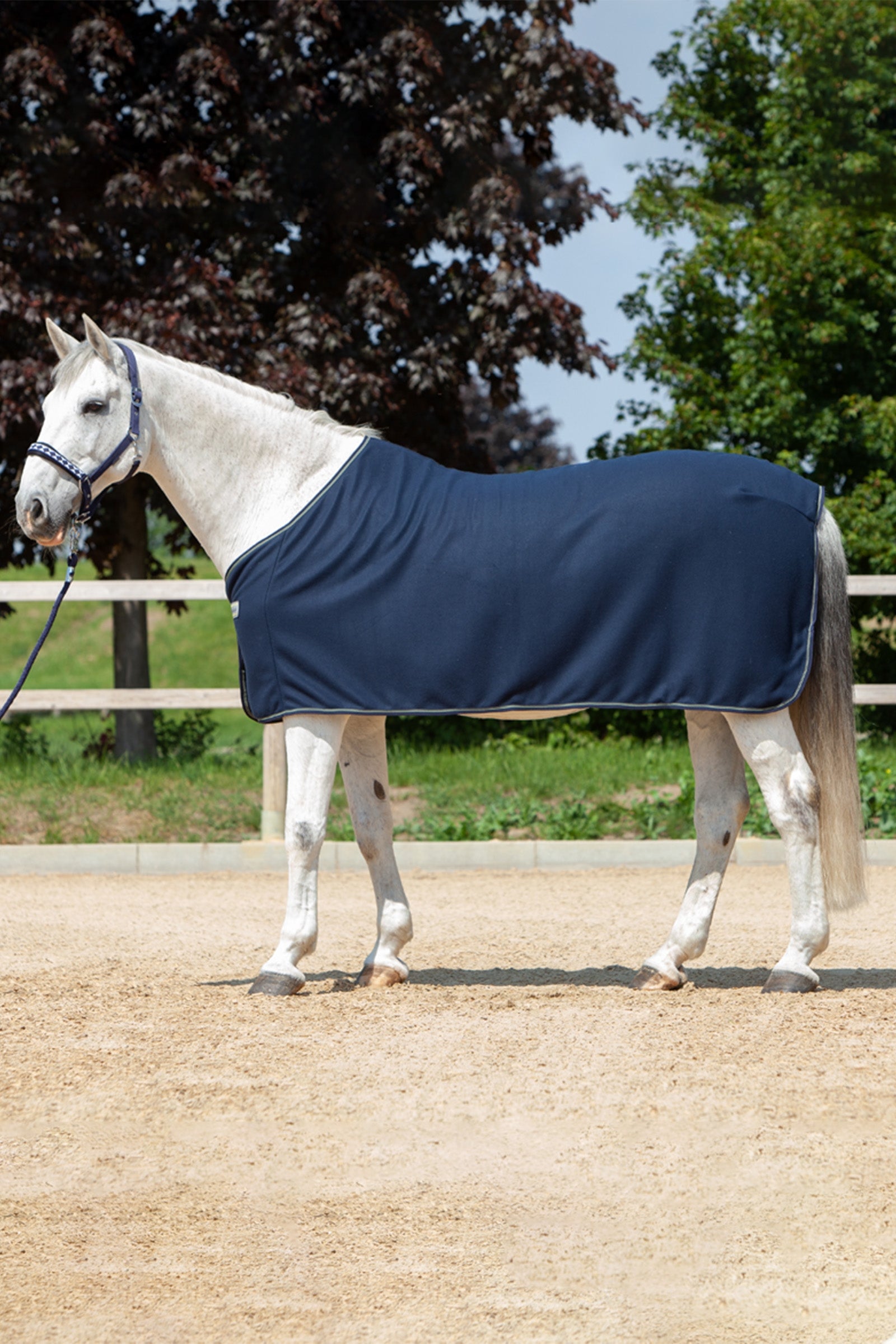Kavalkade Chemise séchante Couvertures cheval