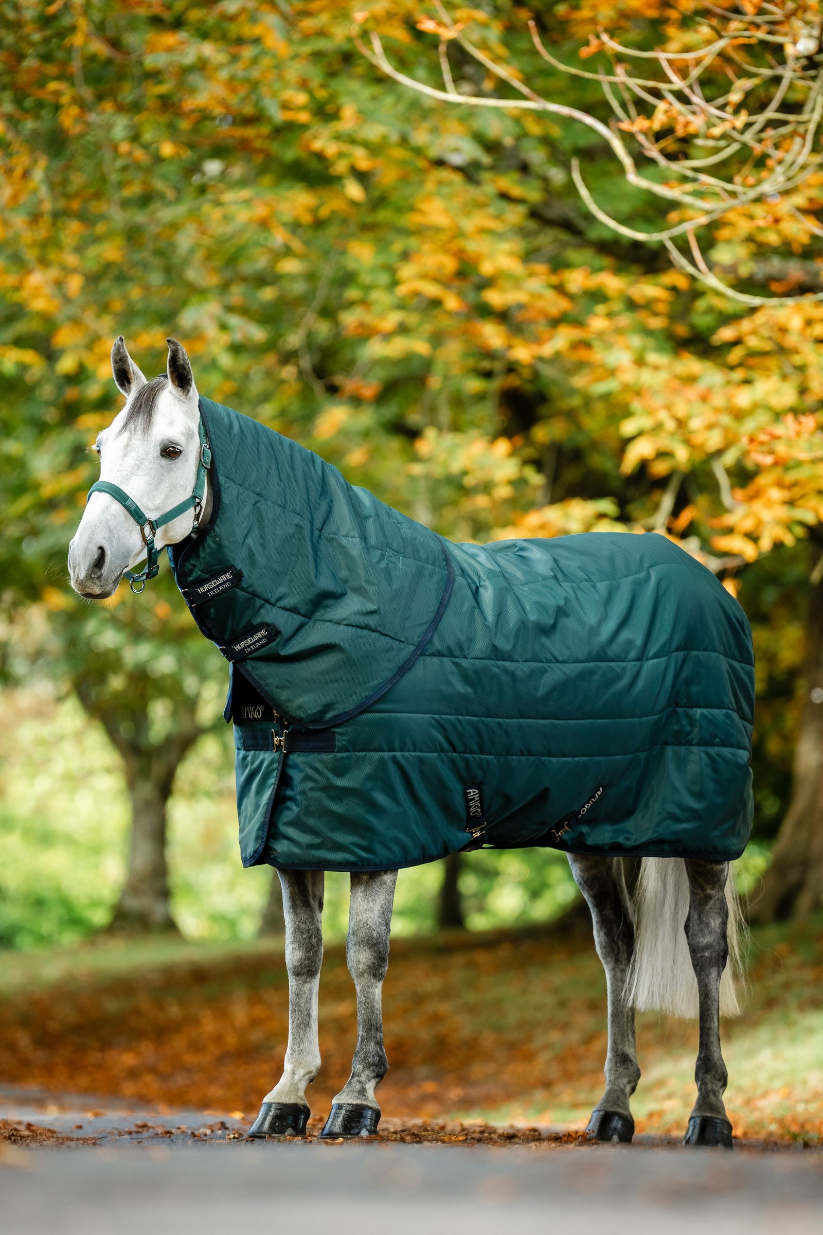 Horseware Amigo Ripstop Insulator Couverture écurie 50g Couvertures cheval