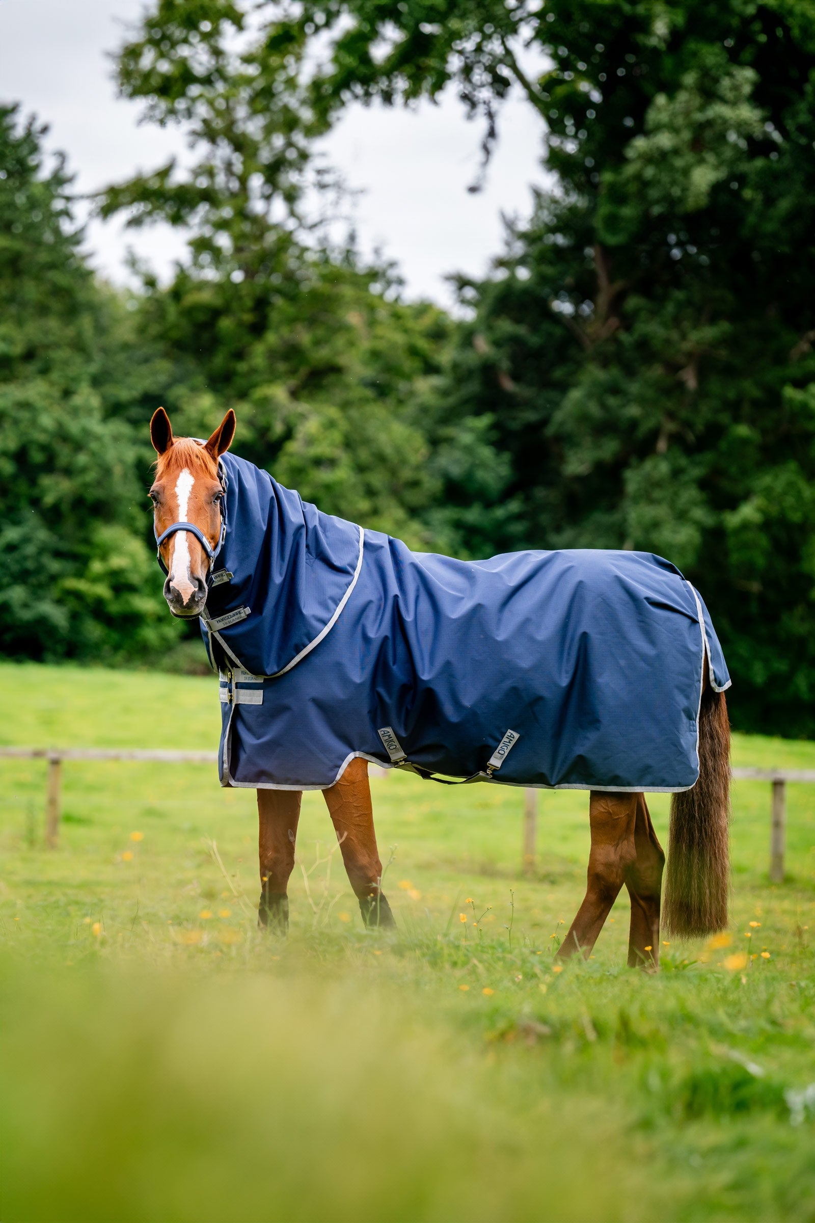 Horseware Amigo Ripstop 900D Plus couverture d’extérieur, 200 g Couvertures cheval