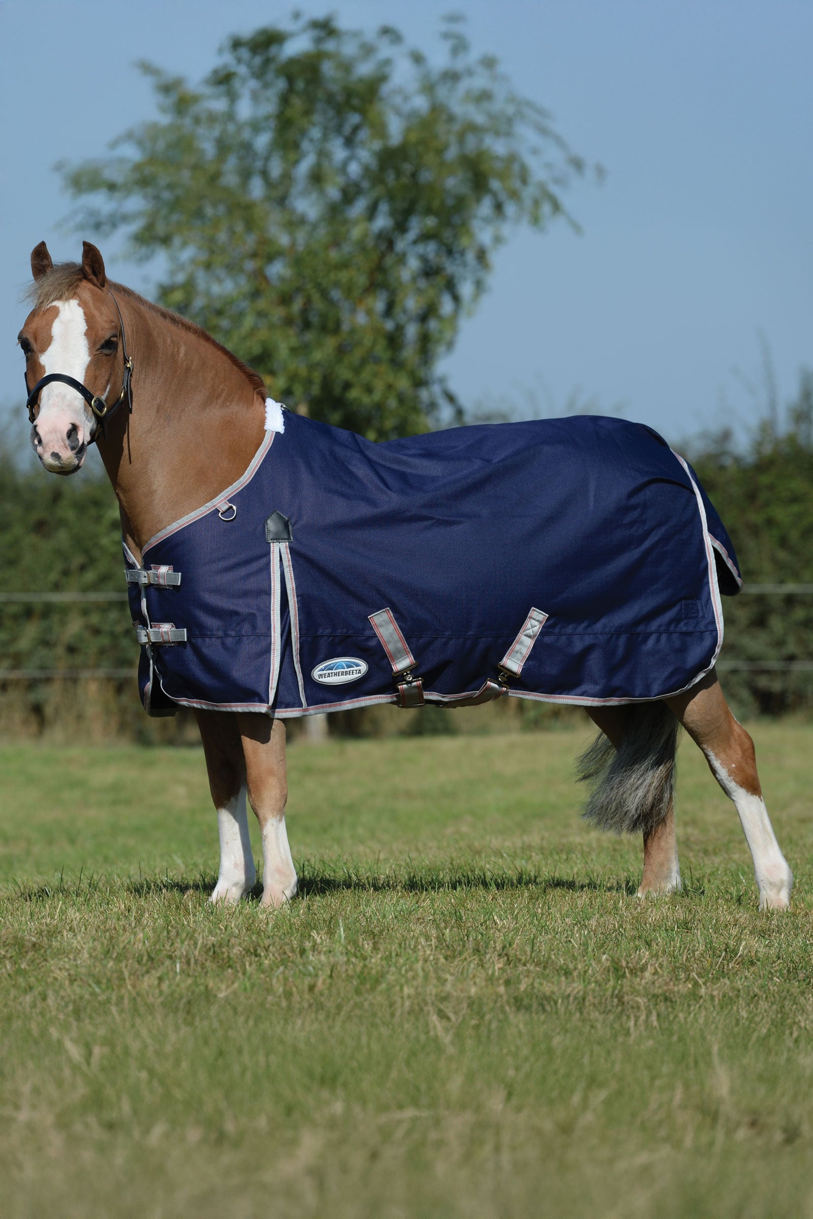 Weatherbeeta Comfitec Essential Plus couverture d'extérieur, 50g Couvertures cheval