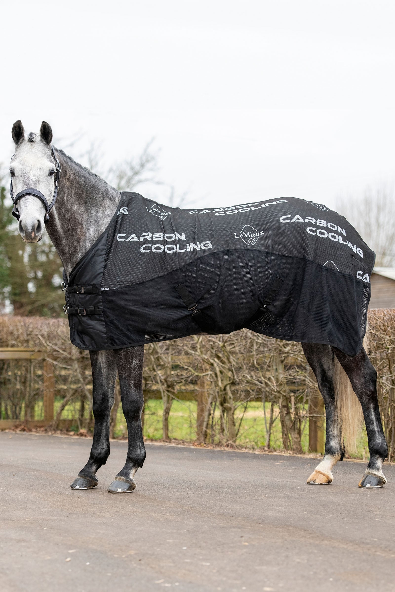 LeMieux couverture refroidissante en carbone Couvertures cheval