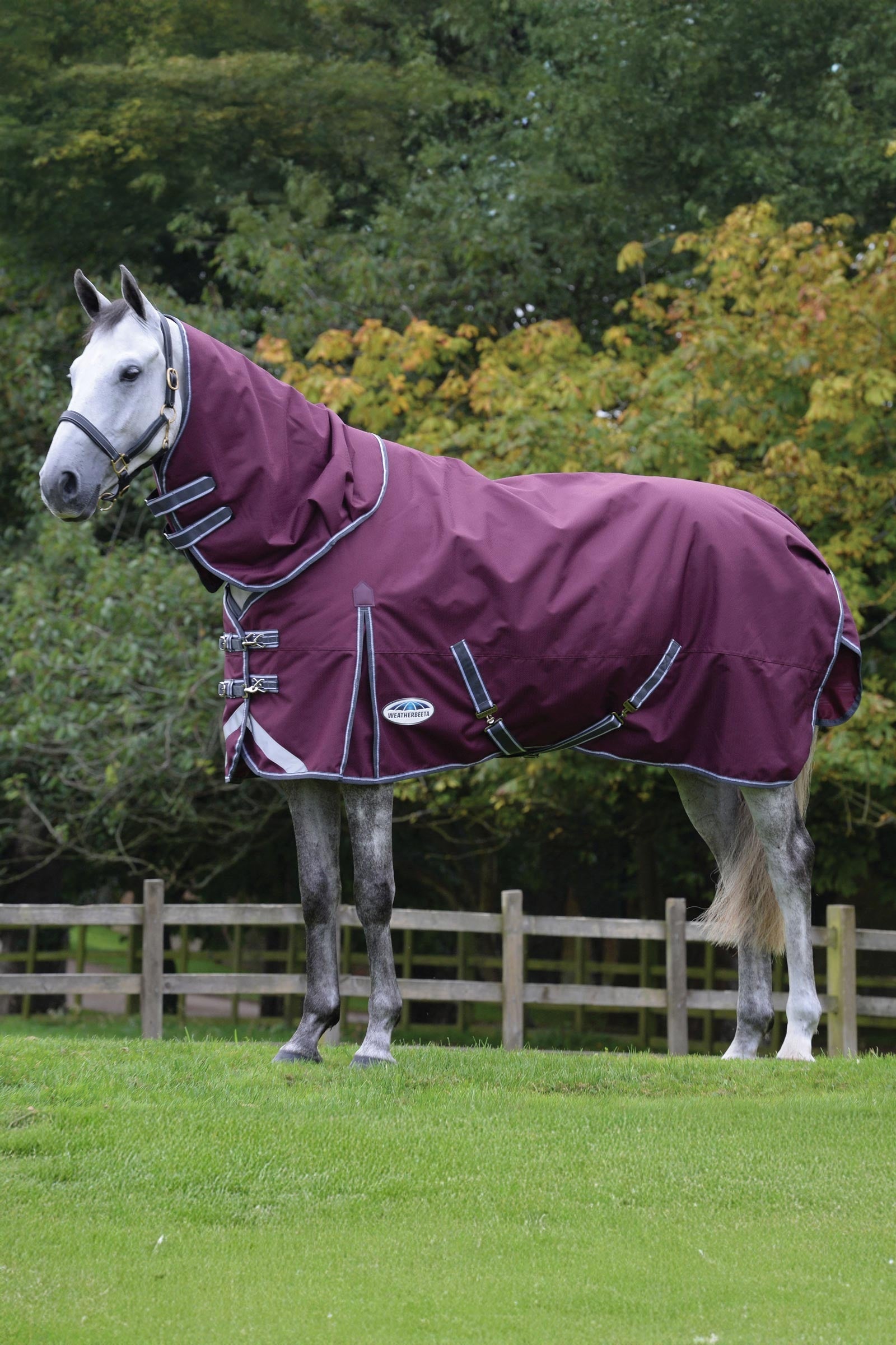 Weatherbeeta Comfitec Plus Dynamic II couverture d'extérieur avec partie de cou amovible, 100g Couvertures cheval