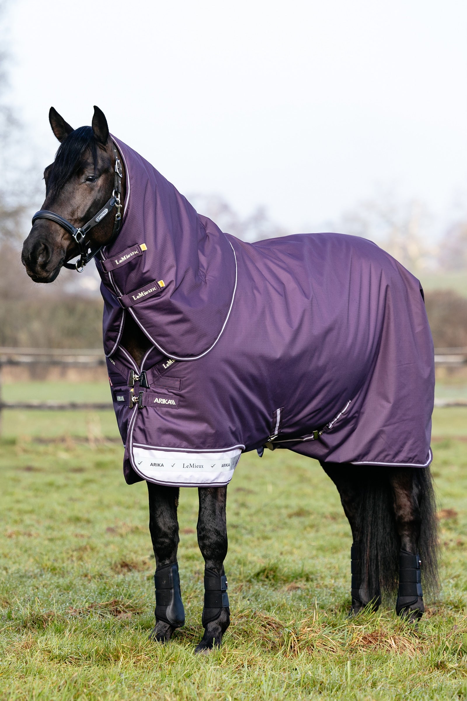 LeMieux Arika Ripstop Turnout Rug With Detachable Neck, 100 g Couvertures cheval