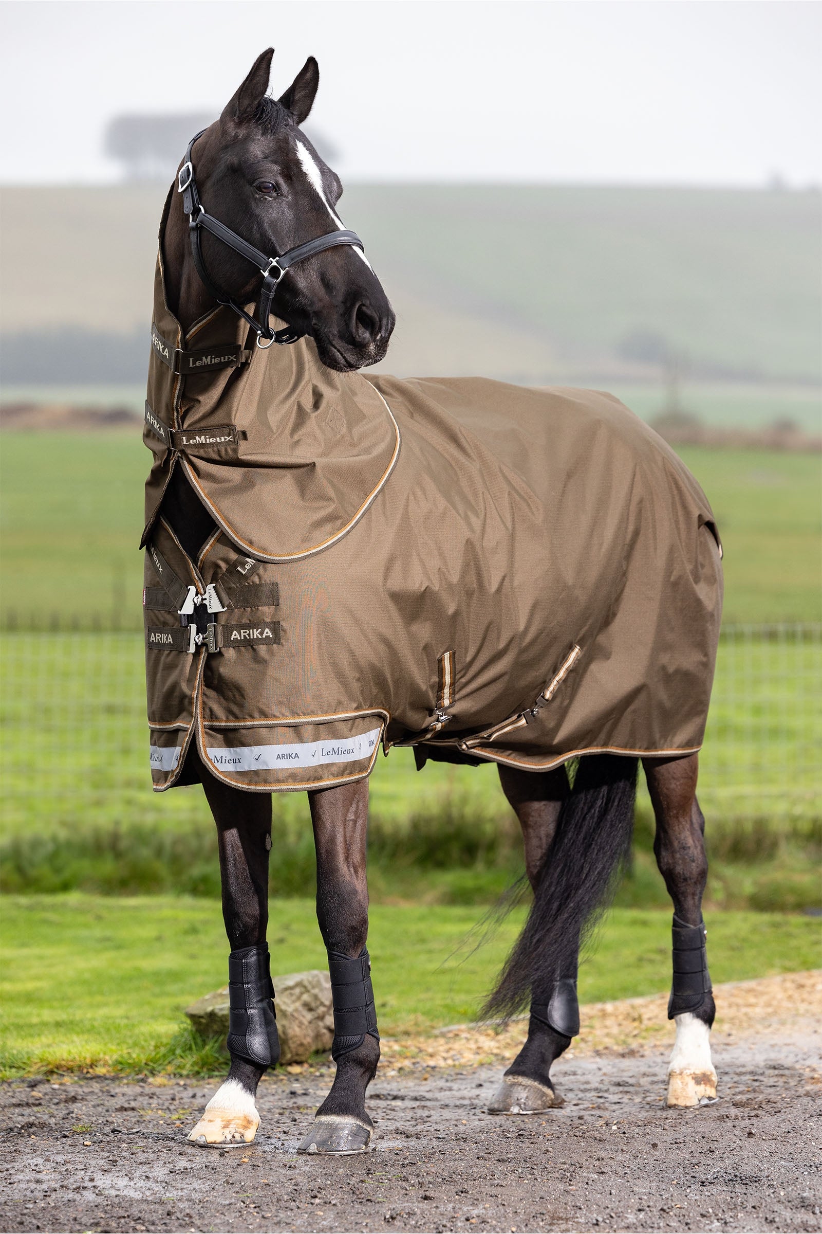 LeMieux Arika Ripstop Turnout Rug With Detachable Neck, 100 g Couvertures cheval