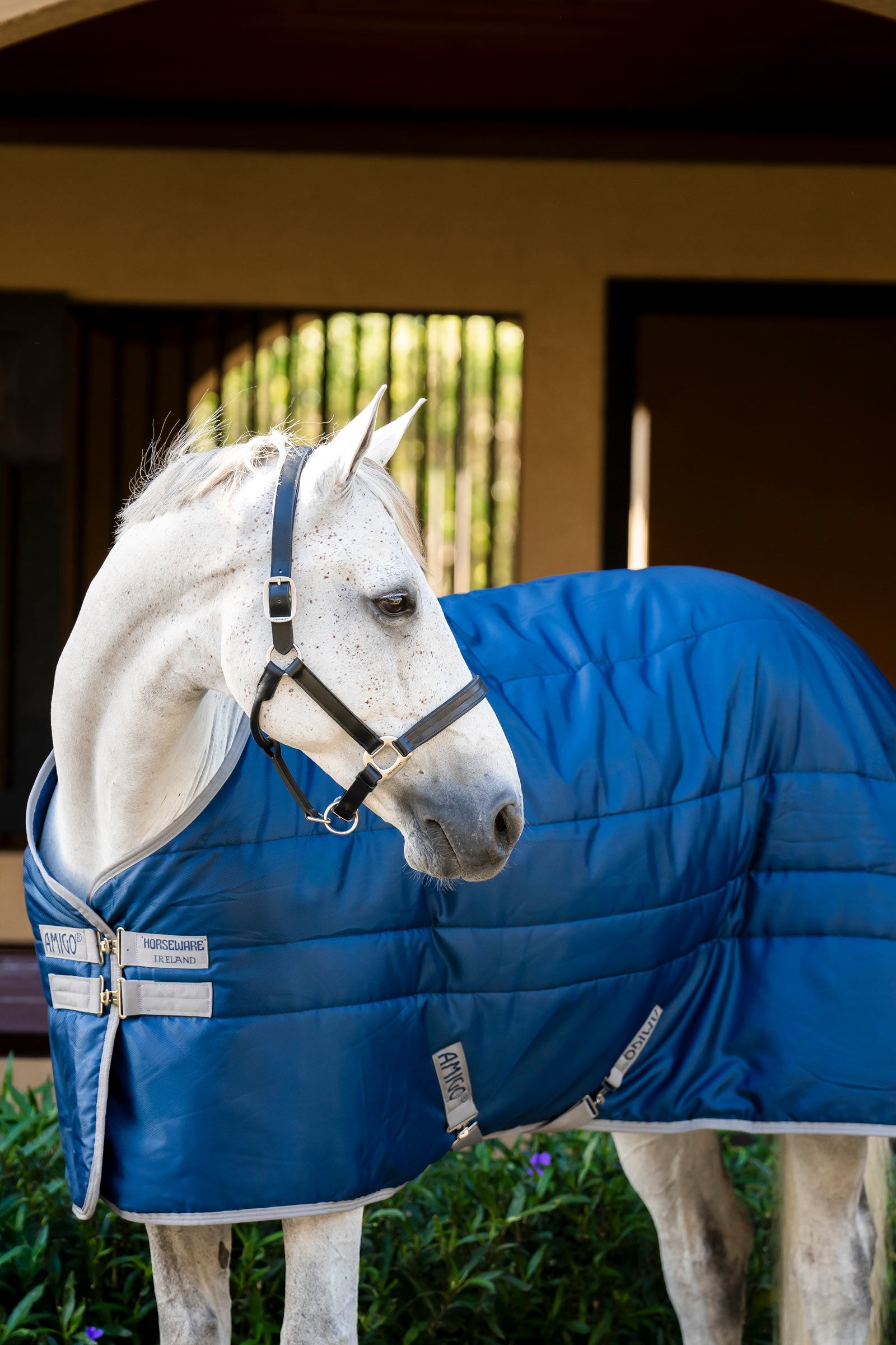 Horseware Amigo Ripstop Insulator Stable Rug, 200g Horse Rugs