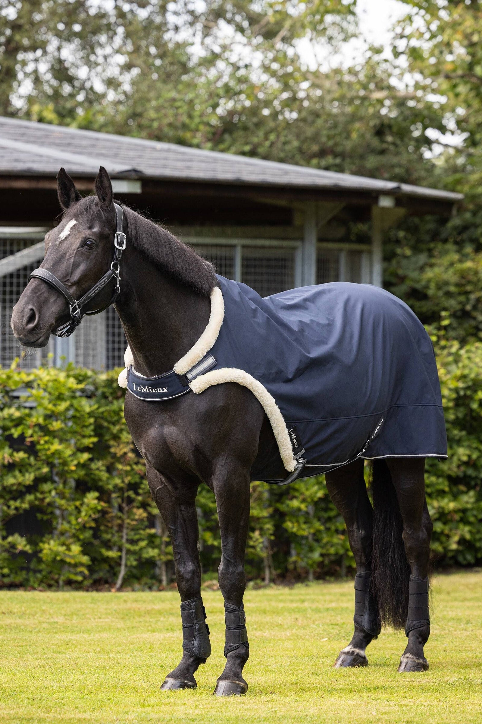 LeMieux Couverture de marche Couvertures cheval