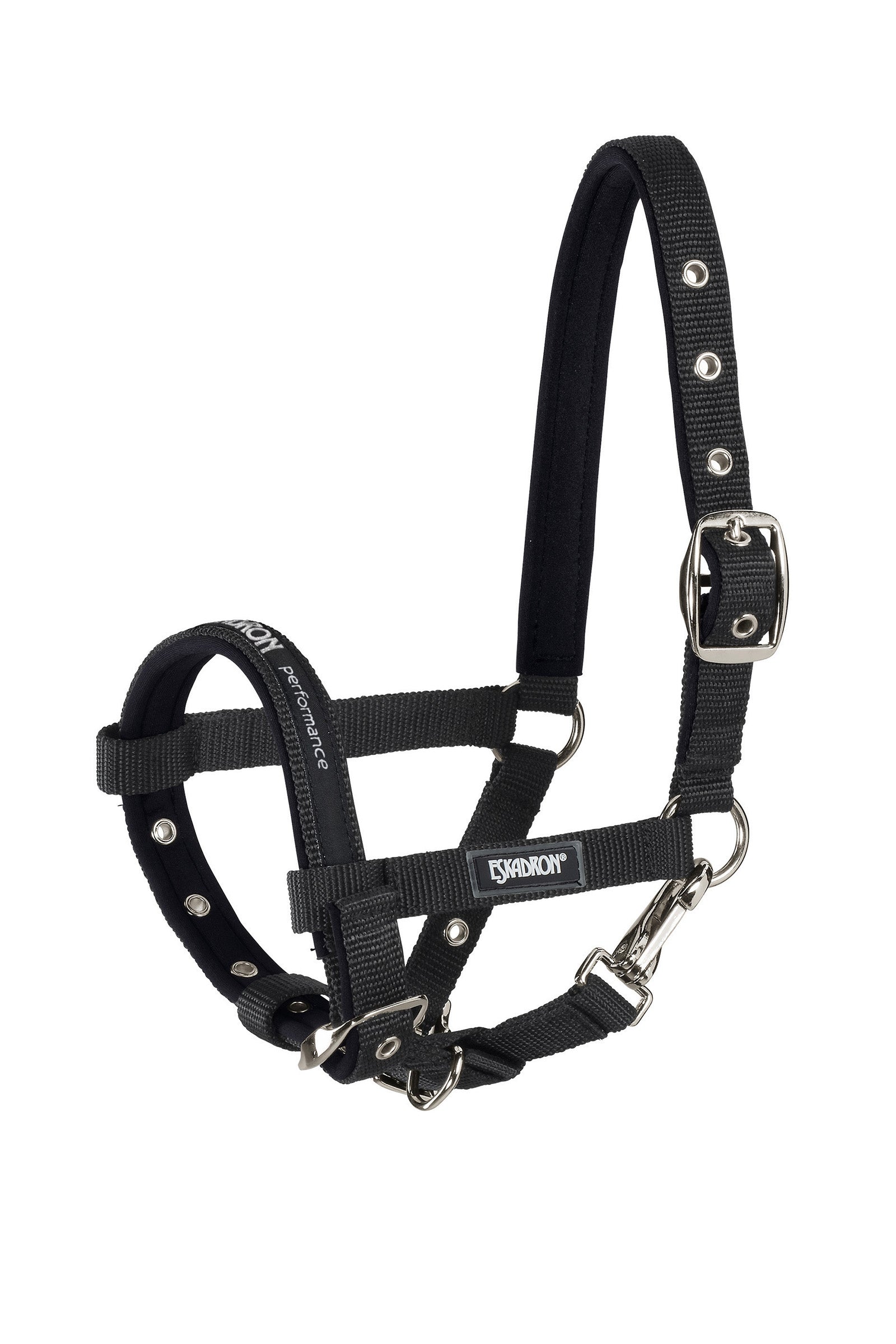 Eskadron Foal Halter Licols & longes
