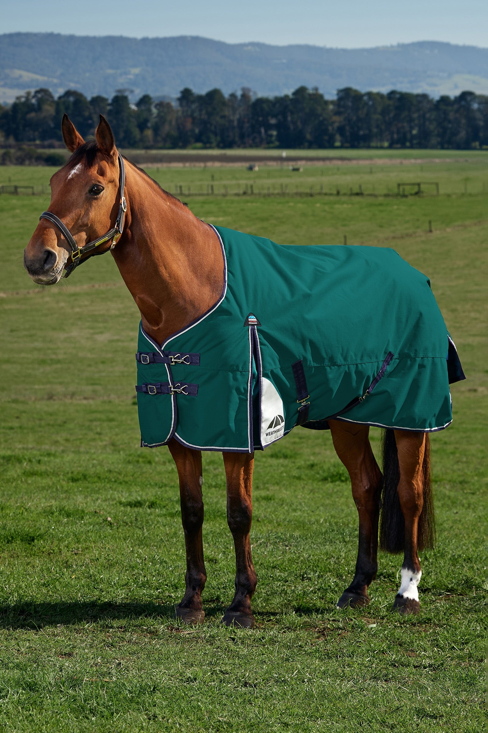 Weatherbeeta ComFiTecPlus Dynamic Turnout Detach-A-Neck 100G Horse Rugs