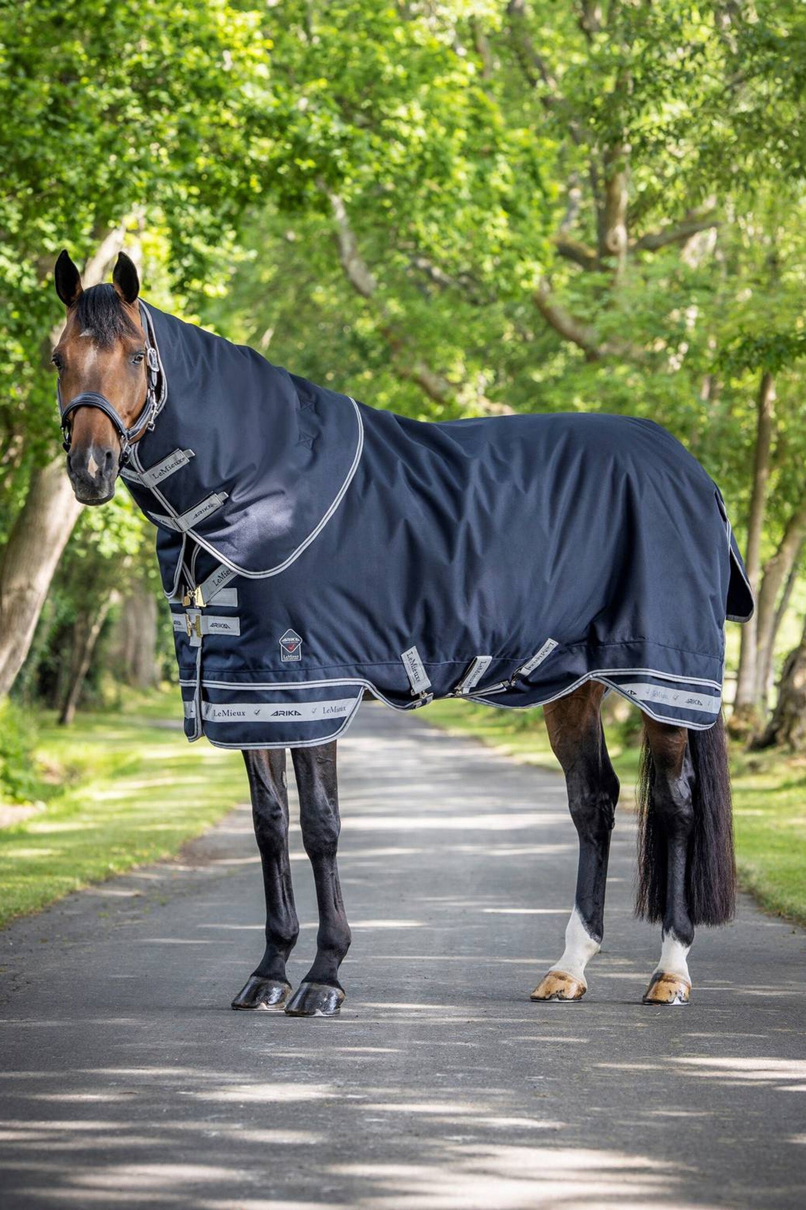 LeMieux Arika Storm-Tek Lightweight Turnout Rug, 100g Couvertures cheval