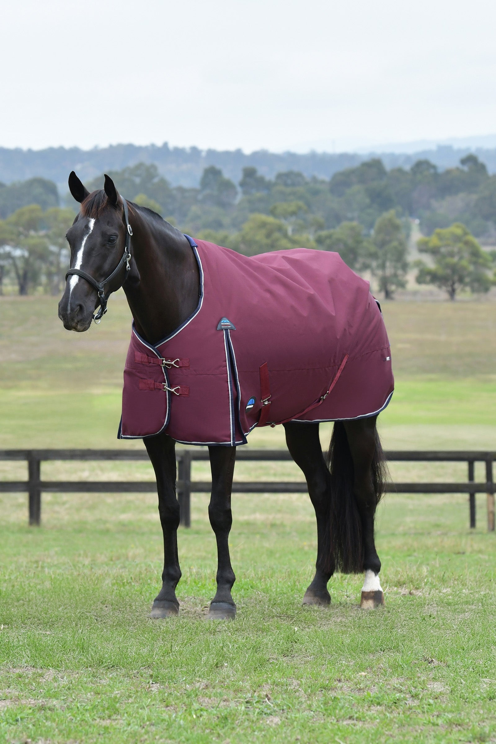 Weatherbeeta ComFiTec Essential Turnout Standard Neck 50G Couvertures cheval