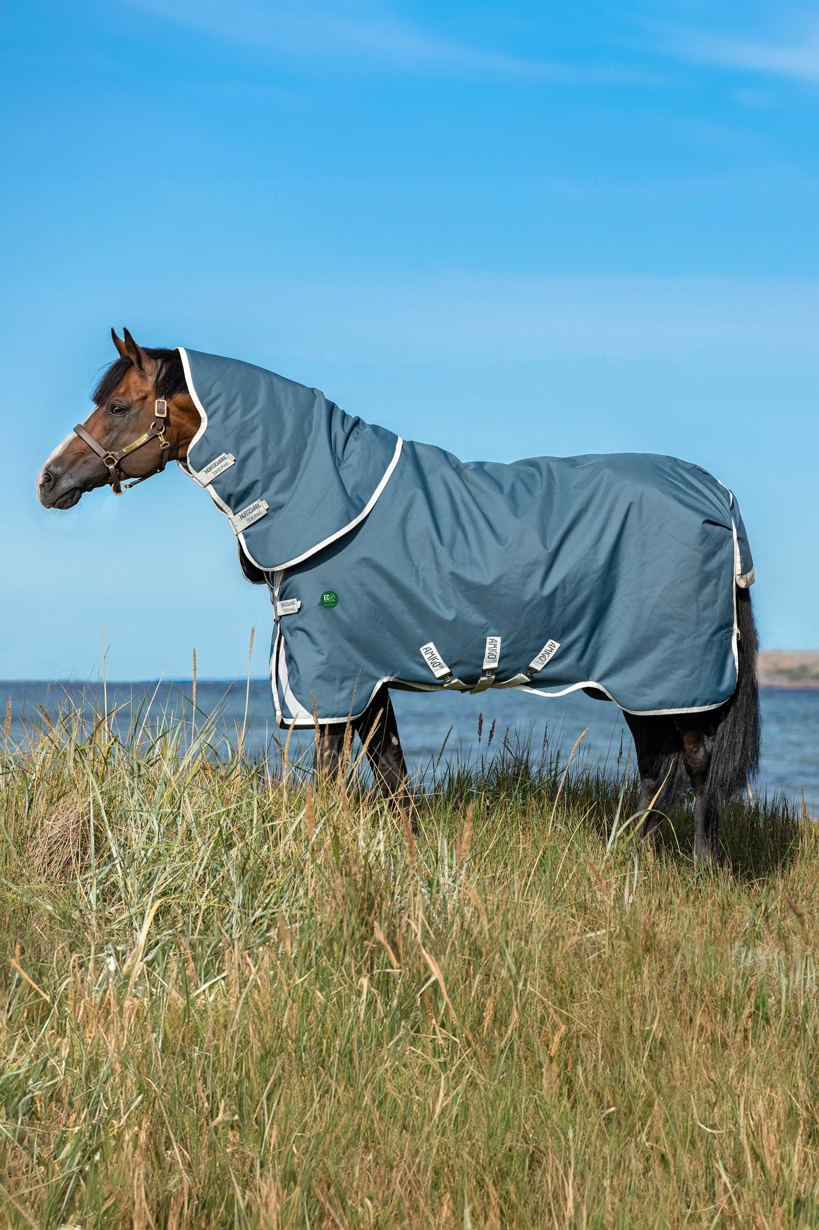 Horseware Amigo AmEco 12 Plus couverture d'extérieur avec cou amovible, 100g Couvertures cheval