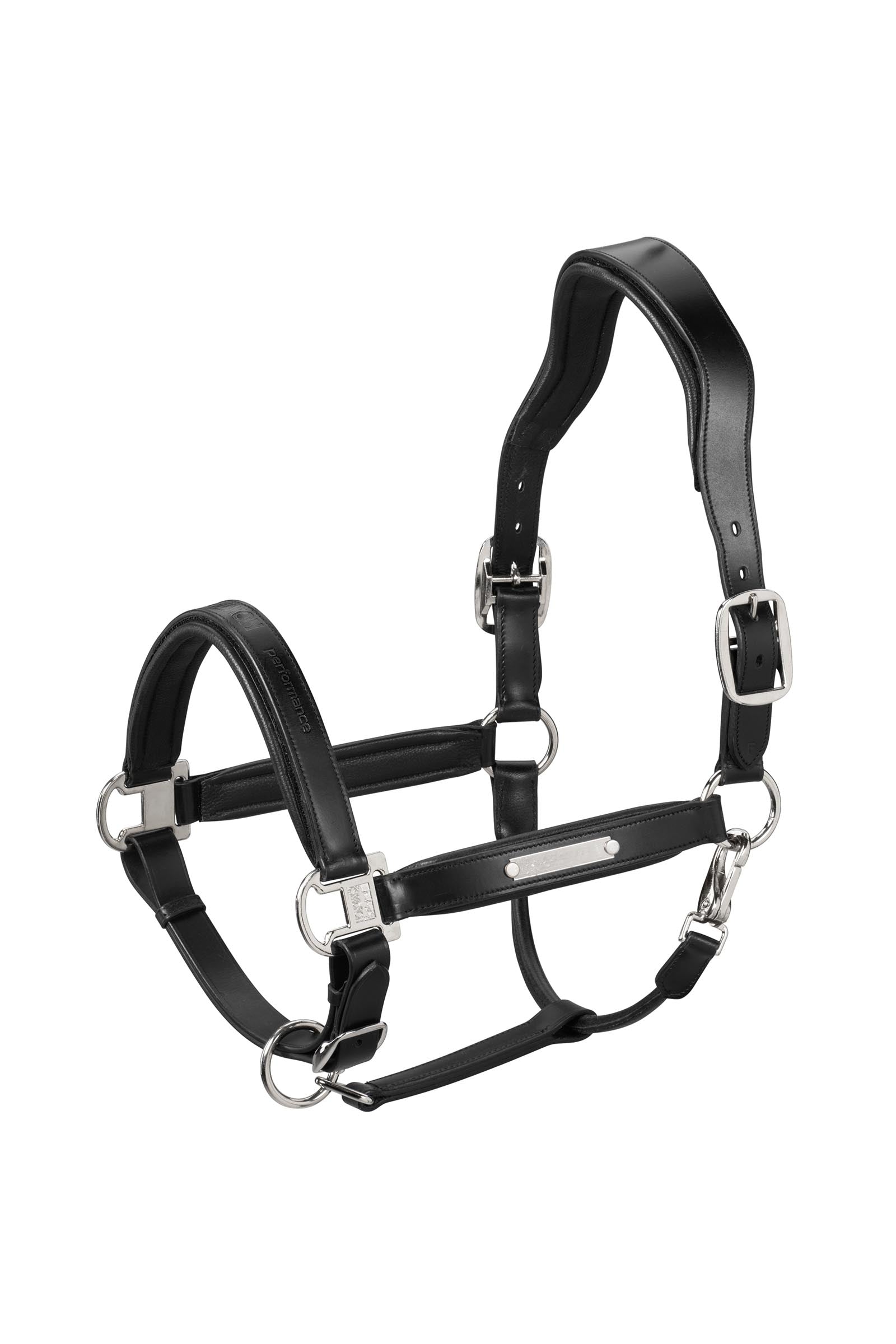 Eskadron Leather Stallion Halter Licols & longes
