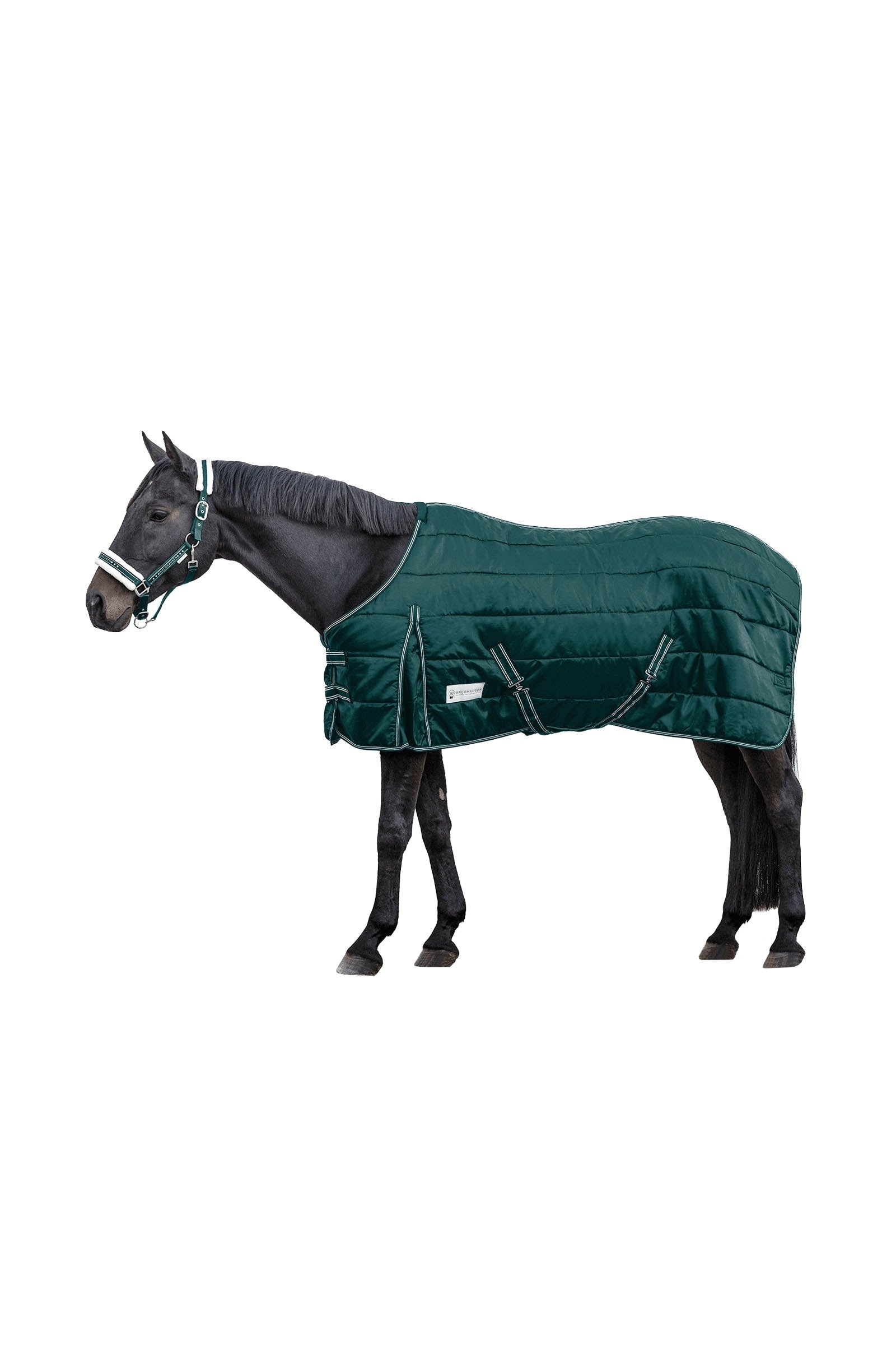 Waldhausen Stable Rug Economic 300 g Couvertures cheval