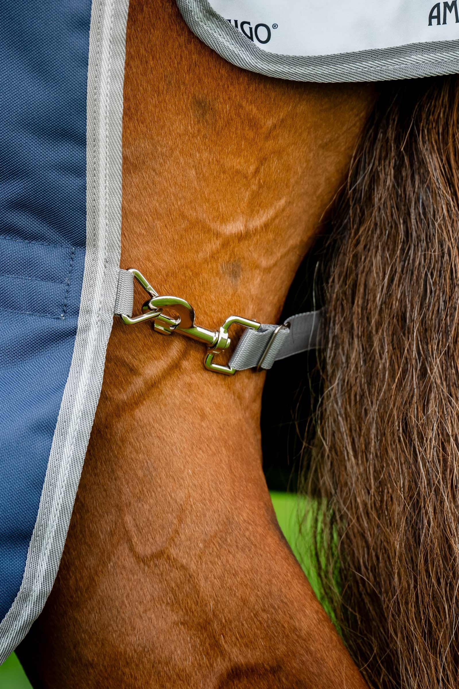 Horseware Amigo Bravo 12 Plus Turnout Rug, 250 g Horse Rugs
