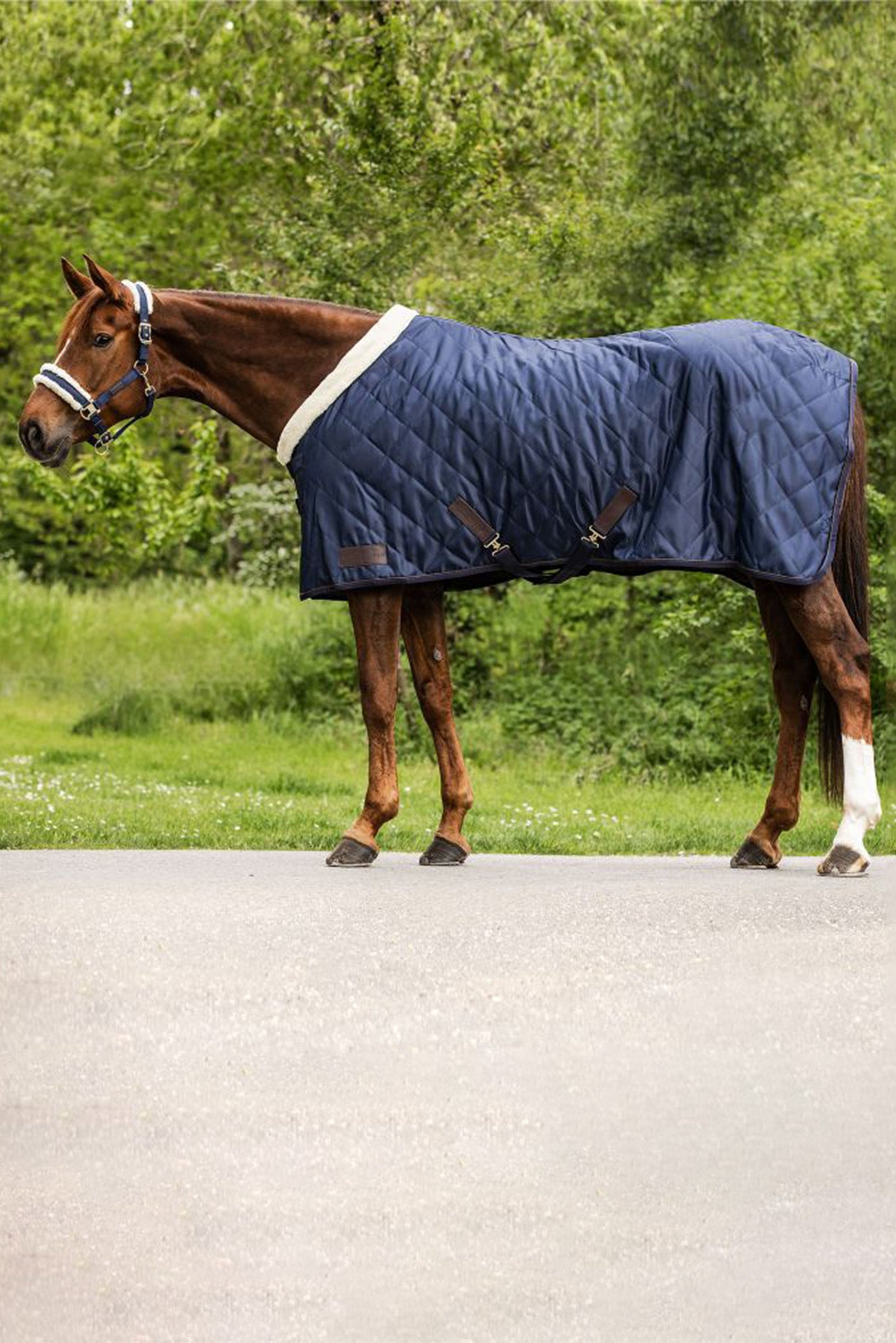 Waldhausen Exclusive Couverture de voyage, 50g Couvertures cheval