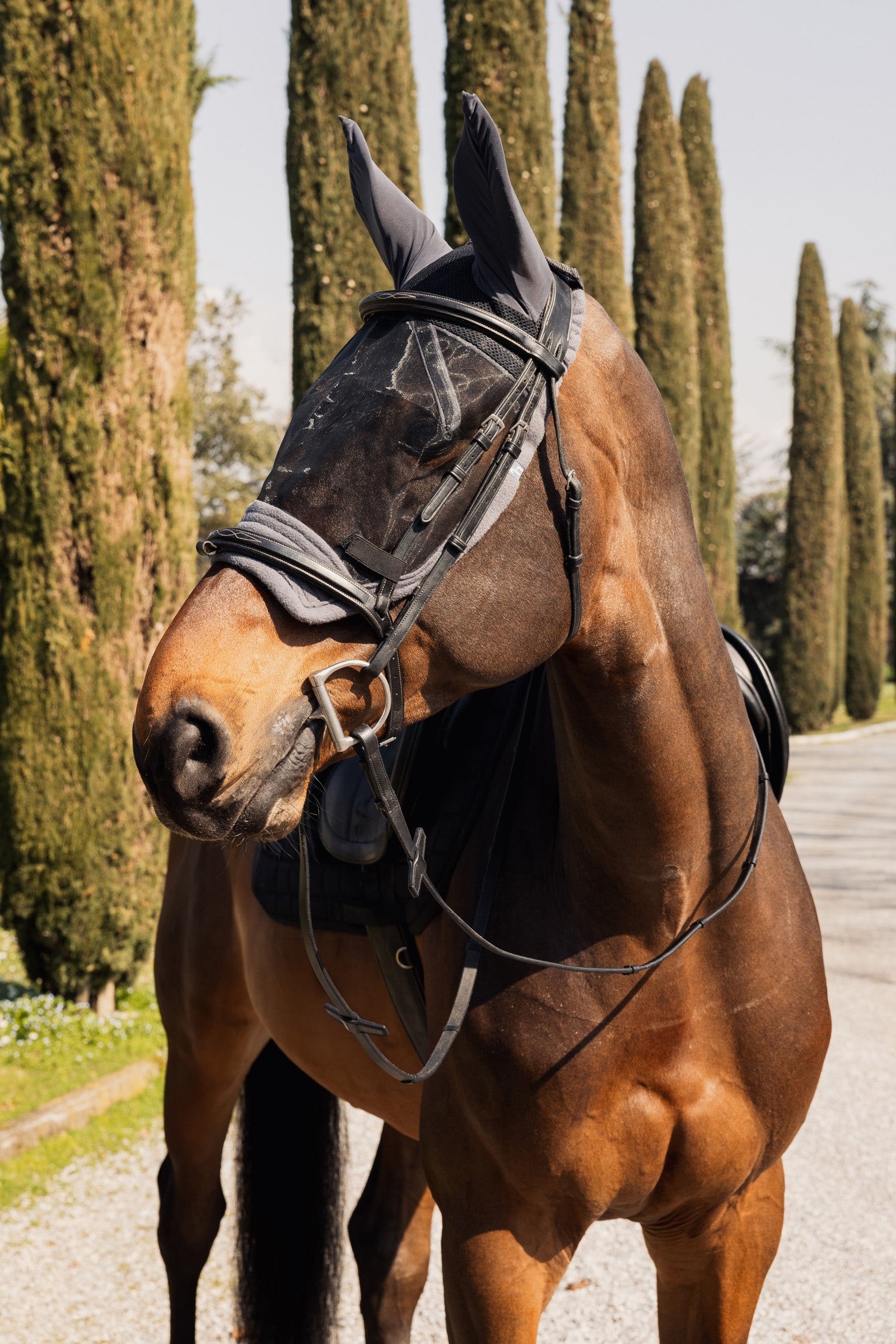 Horze Mountain Riding Fly Mask Antifly Protection for Horses