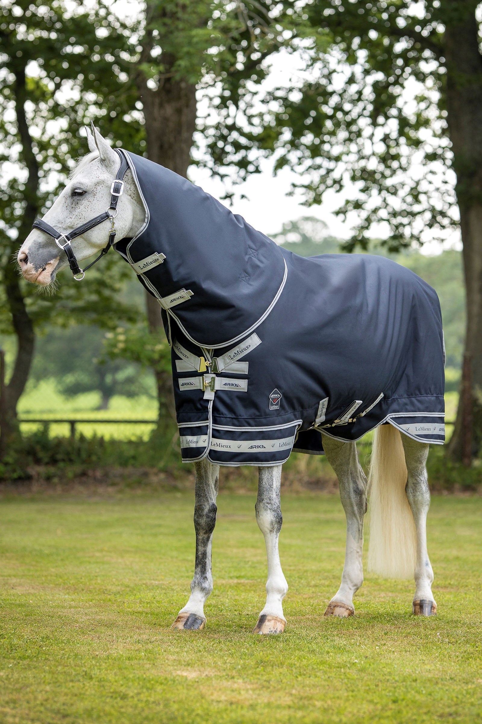 LeMieux Arika Storm-Tek couverture 50g Couvertures cheval